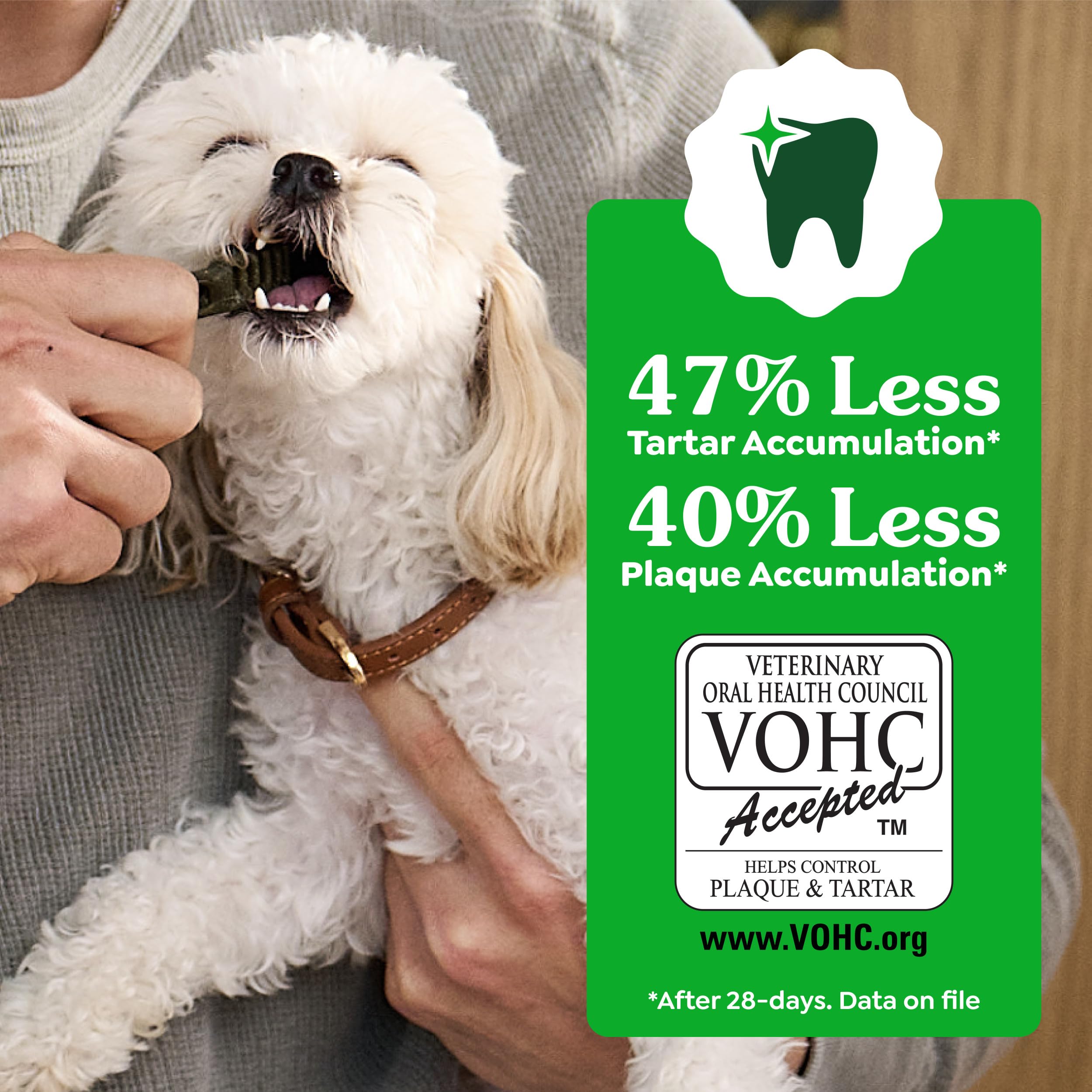 Greenies Veterinarian-Recommended Adult Natural Dental Dog Treats Regular Size, Dog Dental Chews, Original Flavor, 54 oz. Pack, 54 Count - image 6