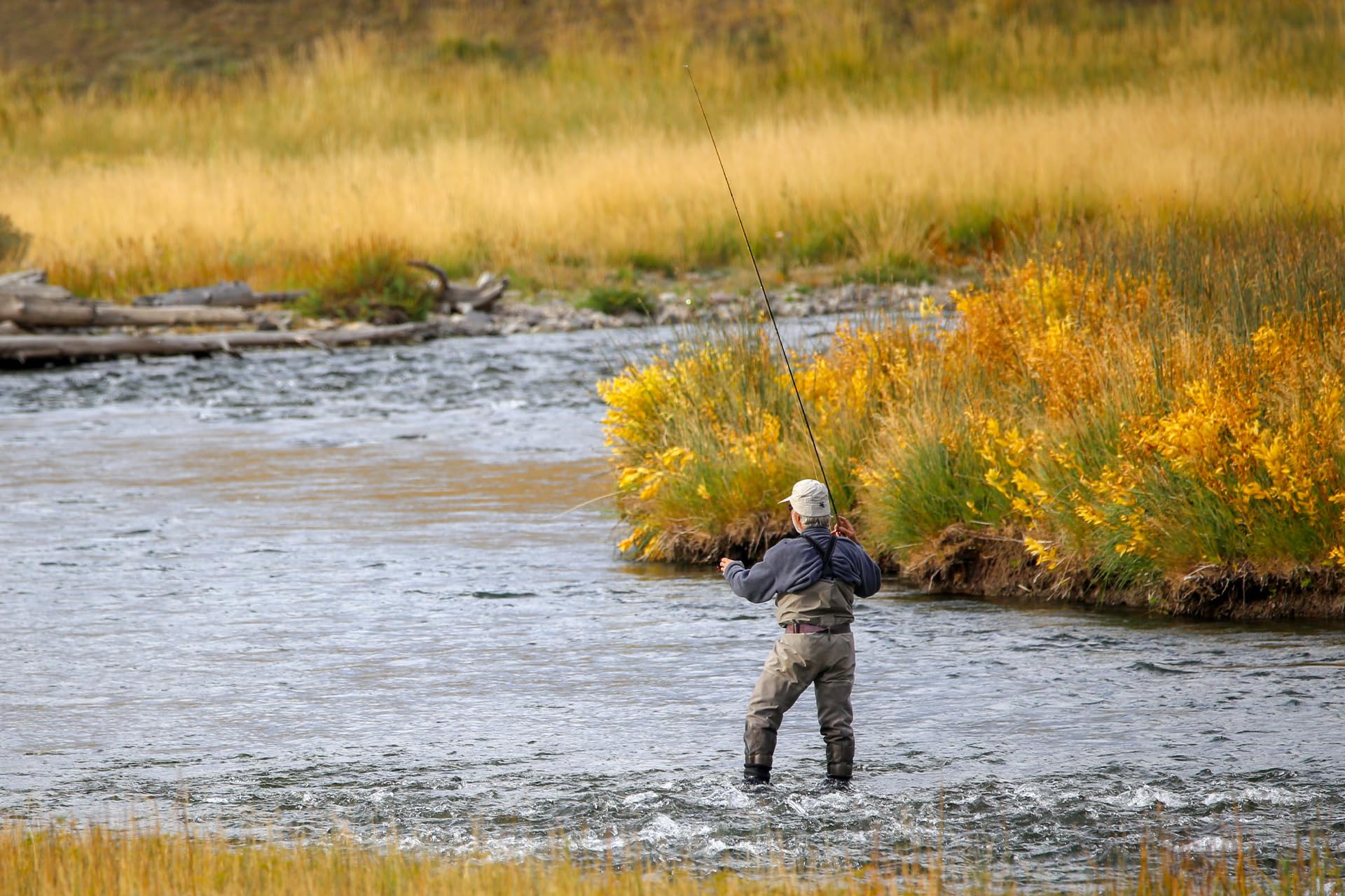 The Fly Fishing Place Soft Hackle Partridge and Orange Fly Fishing Flies - Trout and Bass Wet Fly Pattern - 6 Flies Hook Size 16