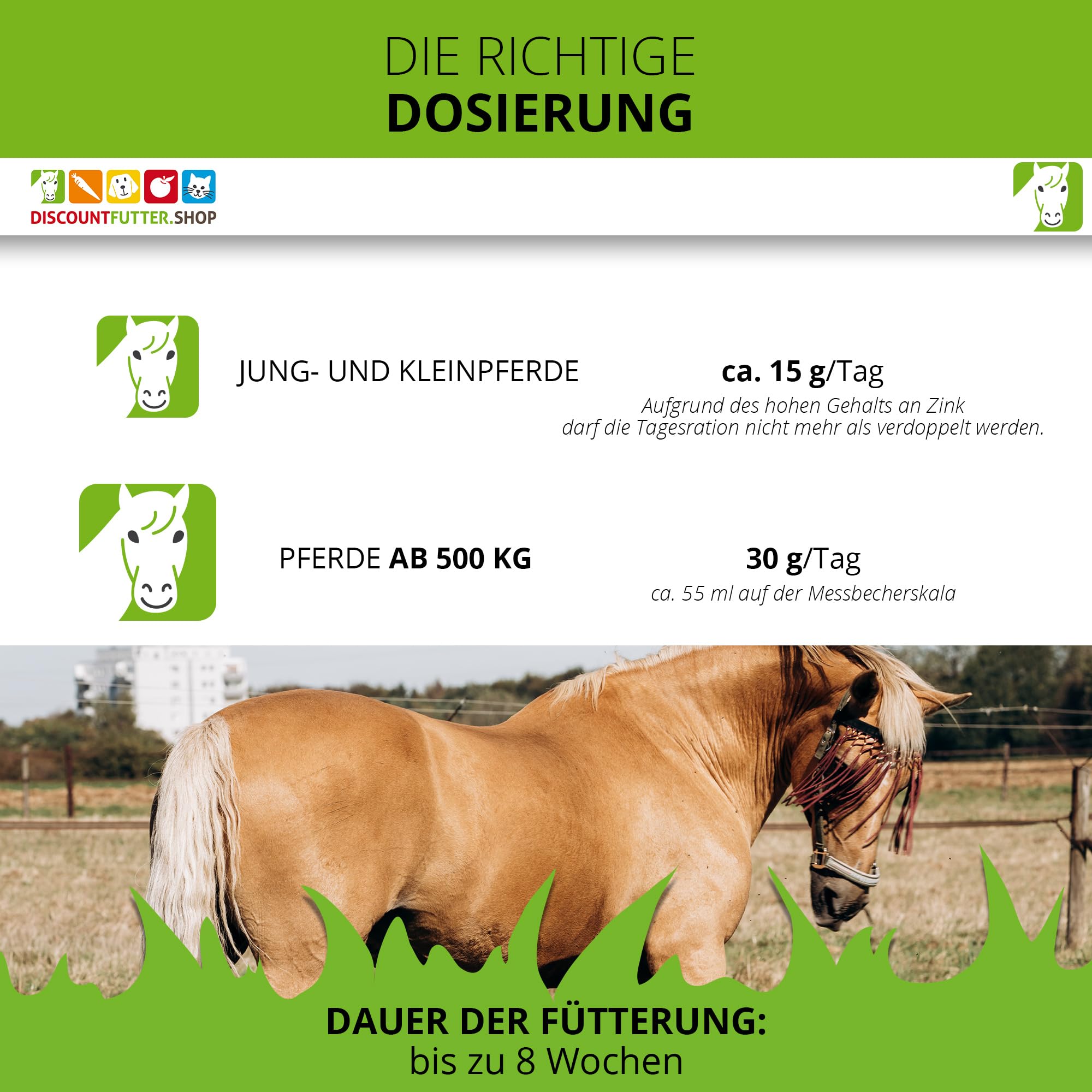 Zink 20.000 Pellets für Pferde, organisch, hochdosiert, 5 kg | Bei Zinkmangel, Haut, Fell & Hufe, ohne Getreide & Zuckerzusatz