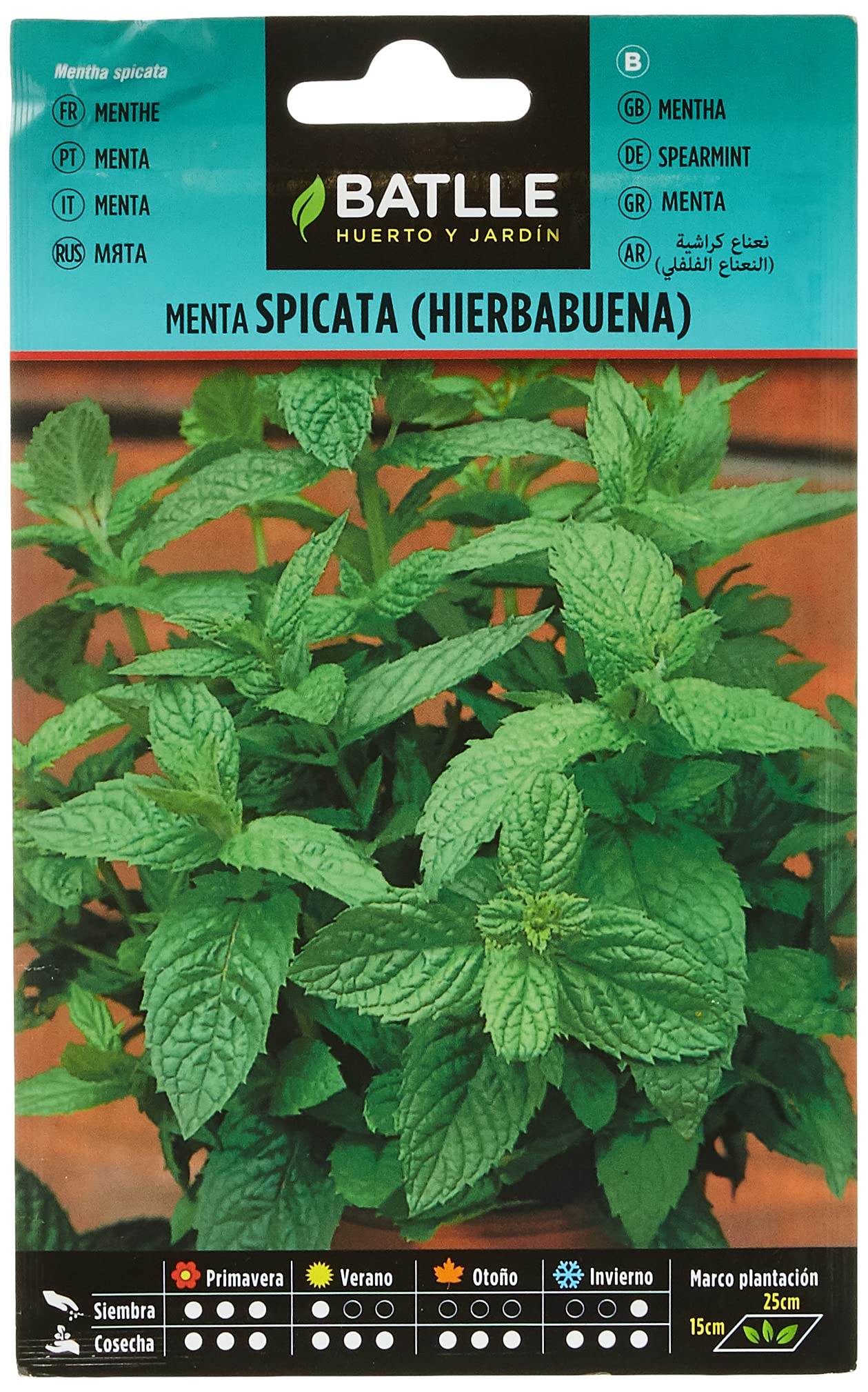 Graines aromatiques de Batlle - Menthe verte/Mentha spicata (0,2g)