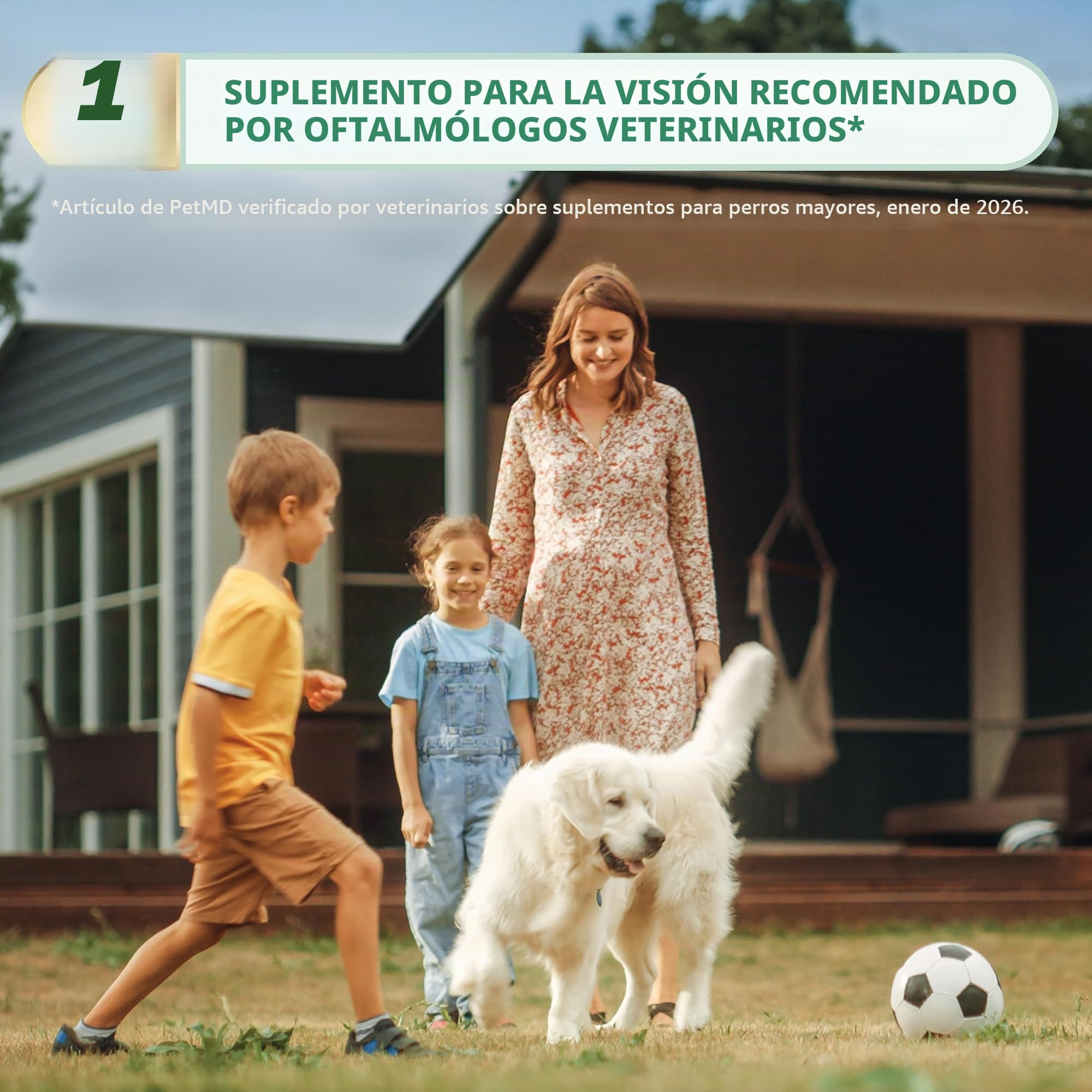 Ocu – Glo RX Canine Vision for Med/Large Dogs over 11 LBS – 90 Count by ocu-glo RX