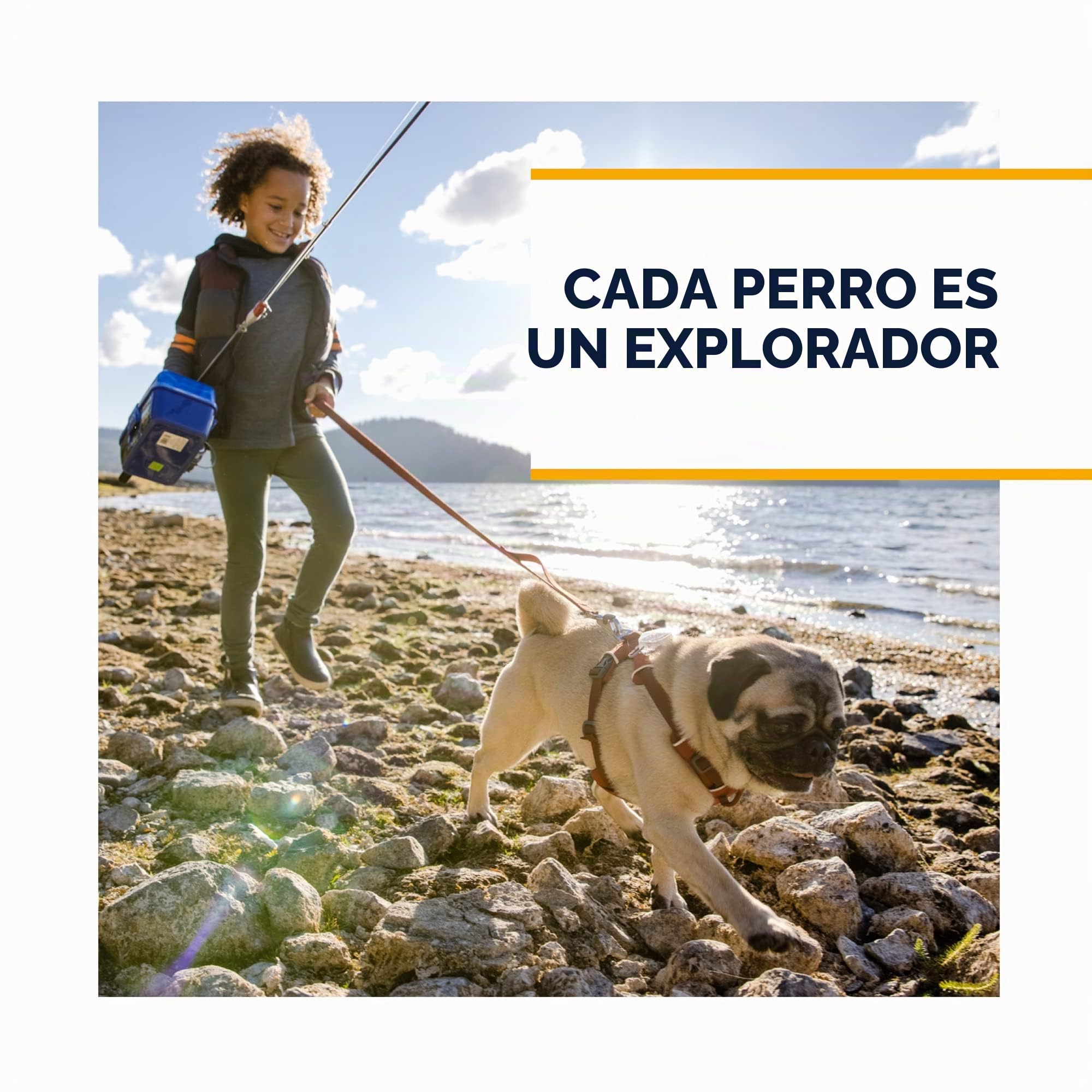 RUFFWEAR Juego de 2 Botas para Perros, Grip Trex, Botines de Senderismo cómodos con protección Antideslizante para Mascotas, Ligeros, Juegos acuáticos para Perros, zumaque Rojo, 3.25 Pulgadas