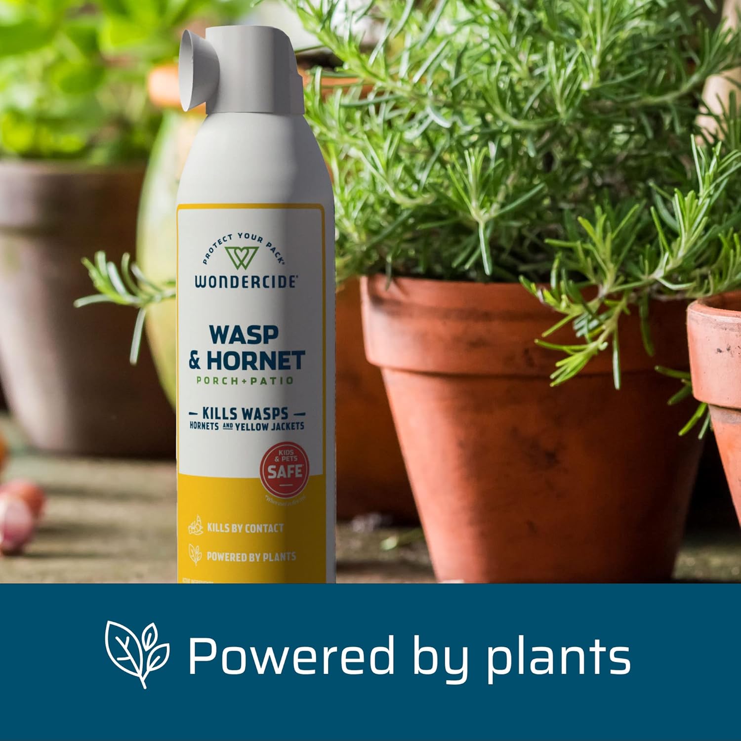 Buy Wondercide Wasp and Killer Aerosol Spray with Natural