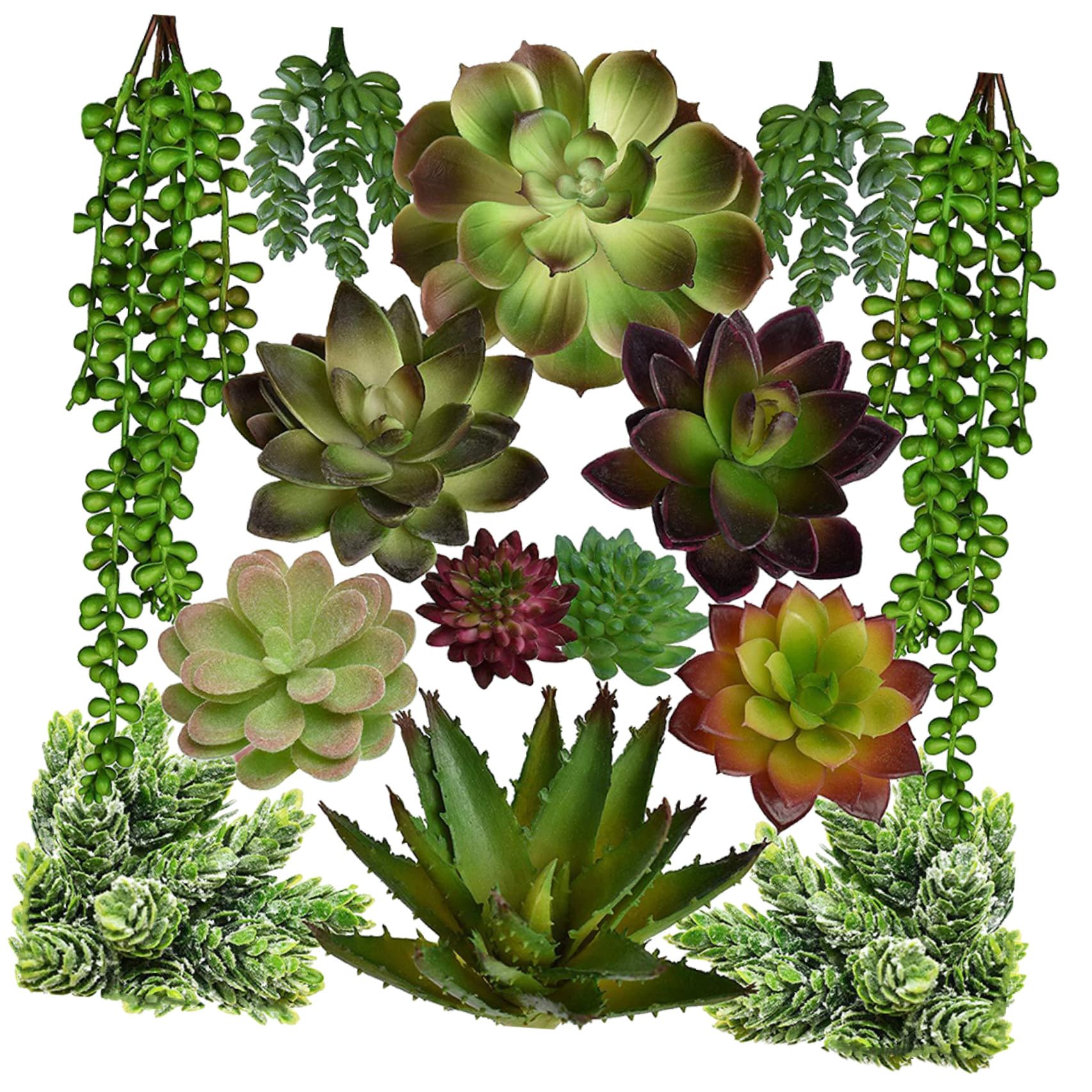 NUOBESTY Plantes Succulentes Imitées 14Pcs PVC PE Légères, Ambiance Noël | Vert, sans Entretien Quotidien, Accessoires Photo Pratiques, pour Mini Jardin Garçon et Filles et Compositions