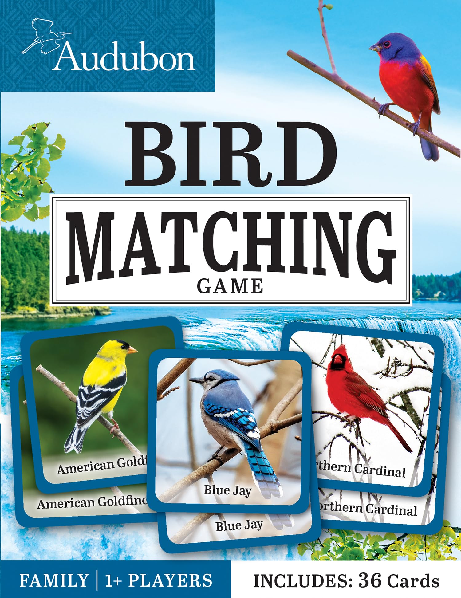 Masterpieces Gioco di carte Audubon con licenza ufficiale per bambini e famiglie
