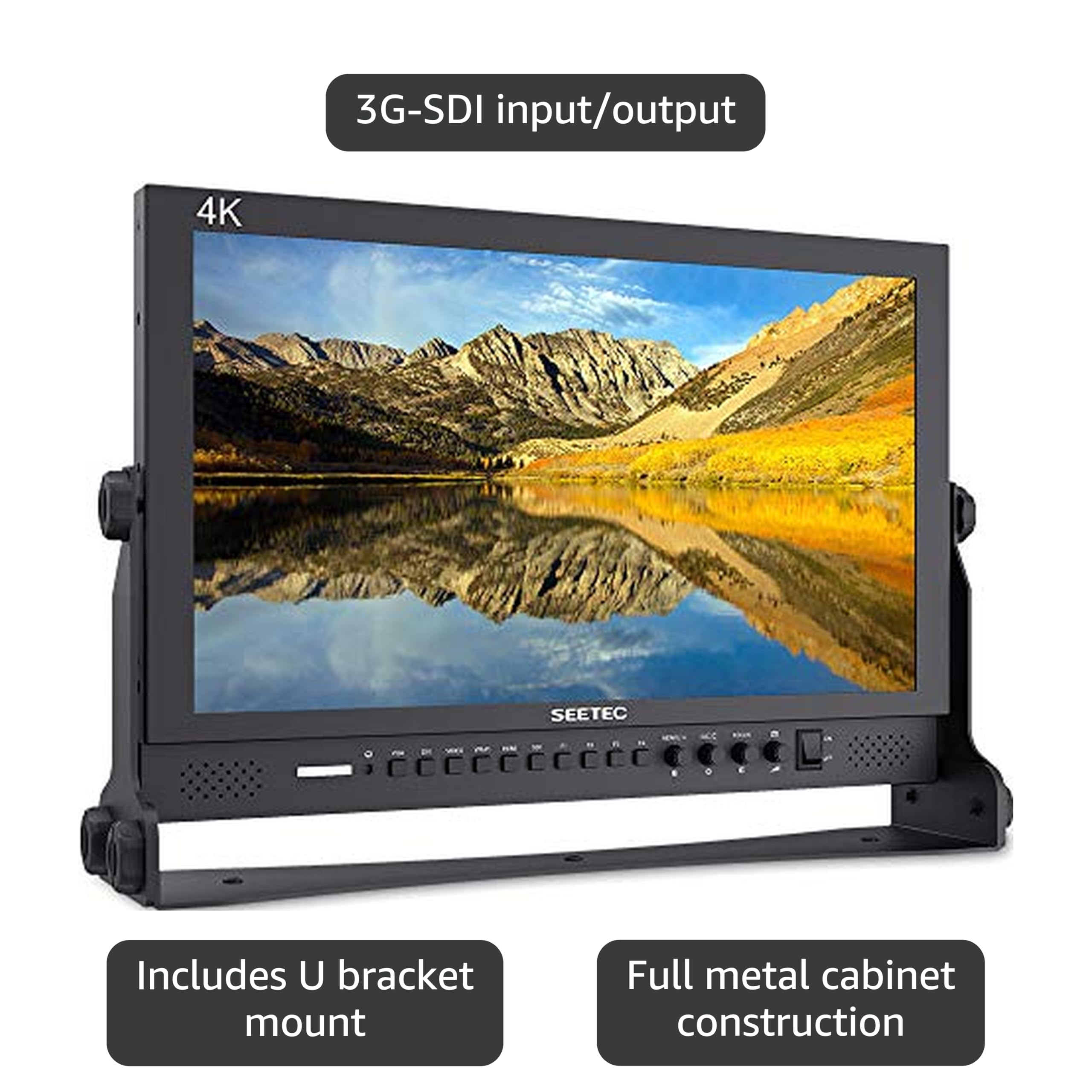 Amazon.com: SEETEC P173-9HSD 17.3 Inch 1920x1080 Desktop Monitor