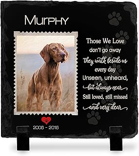 Brd Gifts Pet Memorial Stone with Photo - 6