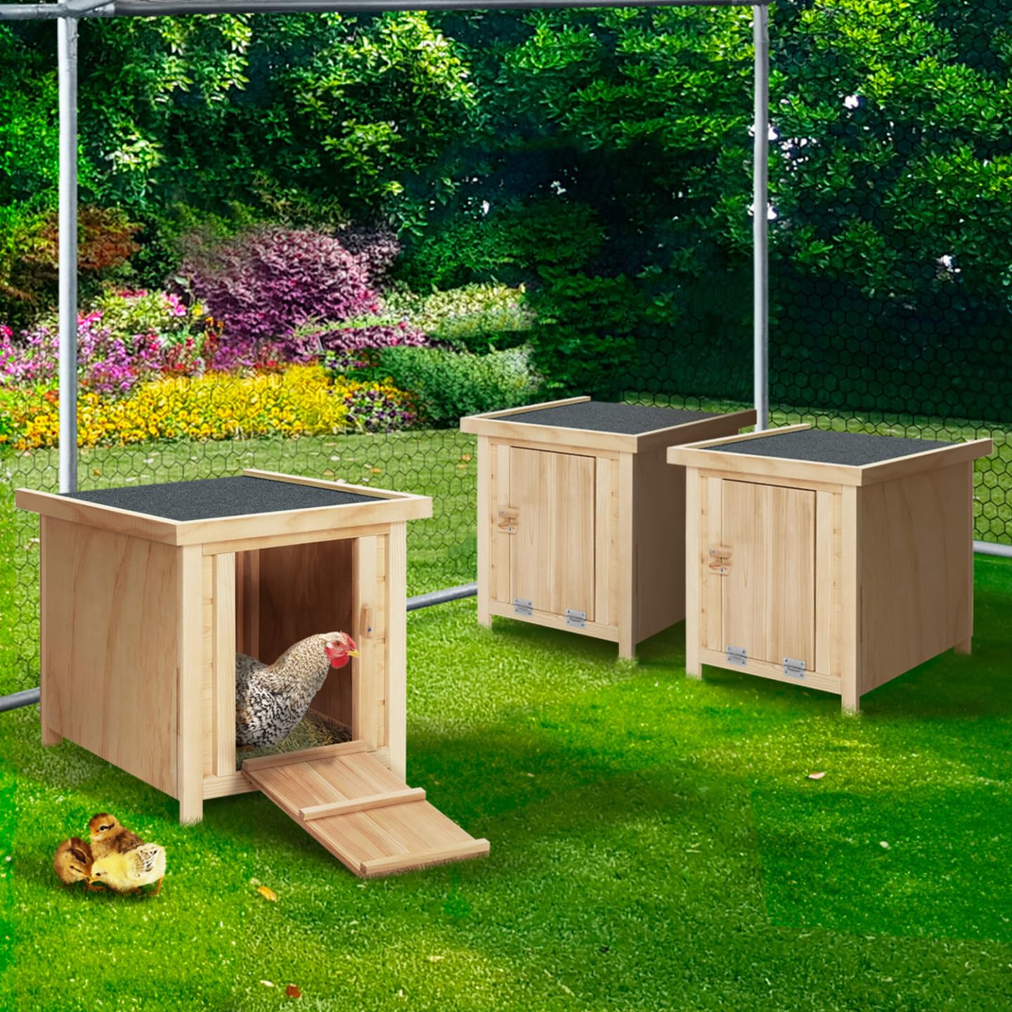IDMarket – Juego de 3 palillos de madera para gallinas nido con fondo