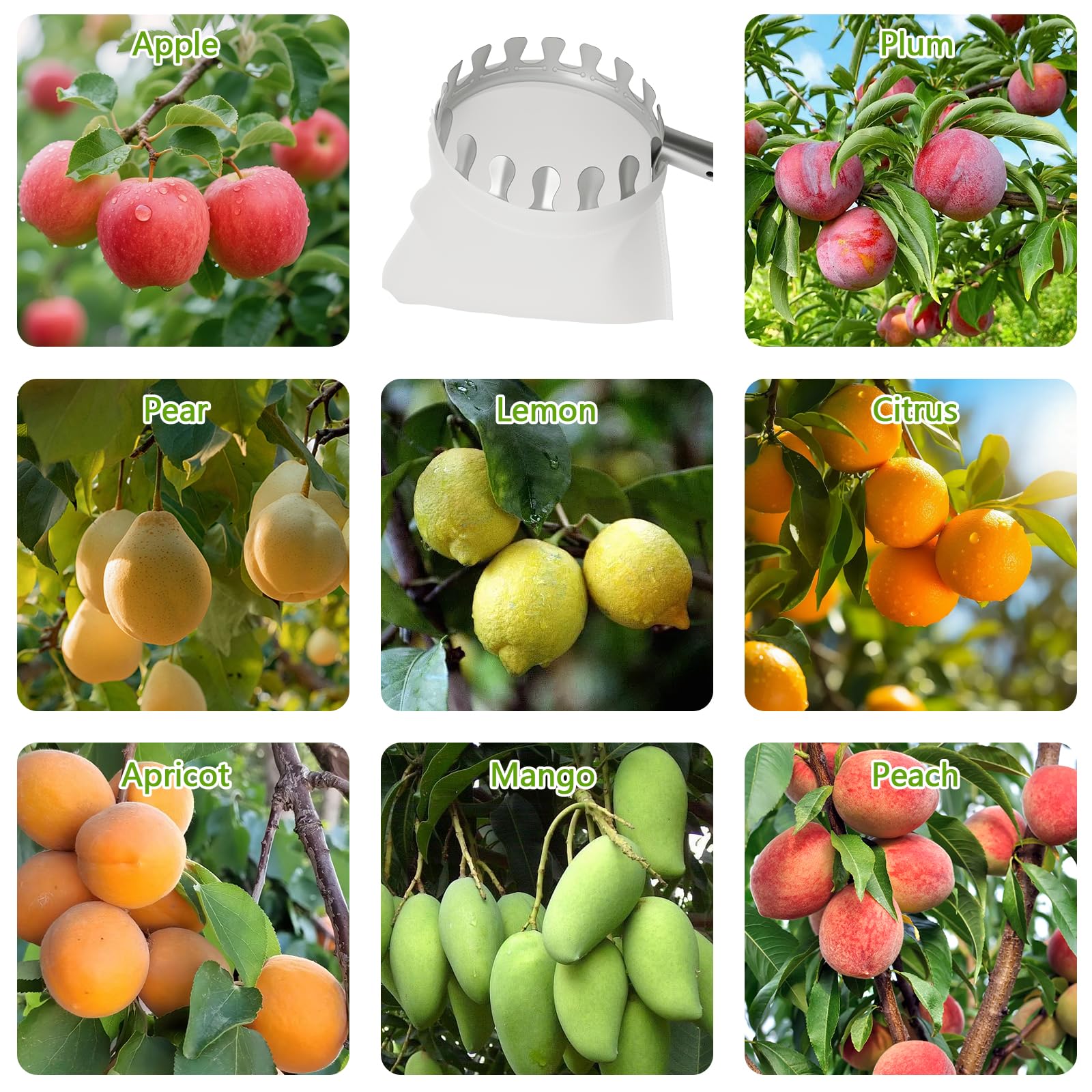 4.2M Raccogli Frutta Telescopico, Regolabile Raccogli Frutta con Palo in Acciaio Inox, Frutta Raccoglitrice Attrezzo Raccogli Frutta per Limoni Mele Pere Arance