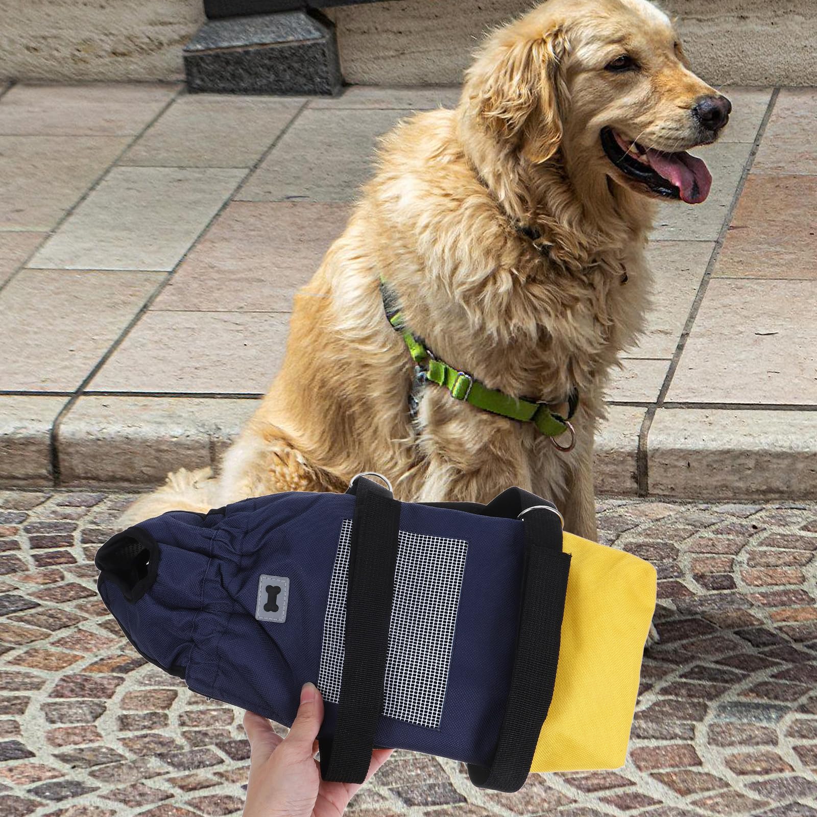 Carrellino per Cani Disabili Regolabile in Poliestere con Ruote Silenziose, Facile da Usare per Passeggiate Indoor e Outdoor di Animali Domestici Anziani