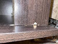 Review Image by Hailey C. Hailey C.