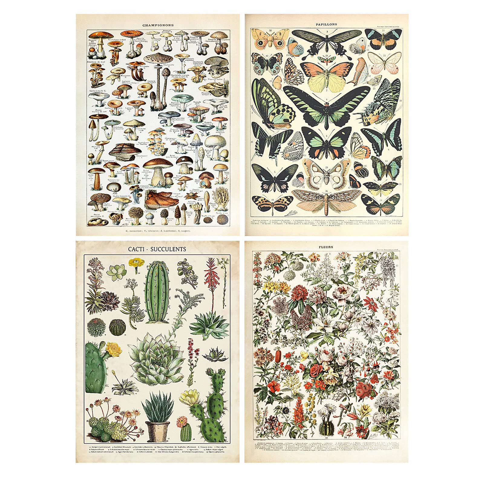 Marspark 4 Pcs Vintage Butterfly Tapestry Vertical Aesthetic Floral Butterfly Tapestry Wall Hanging Plant Wall Blanket for Bedroom Dorm Living Room Decor(16 x 20 Inch)