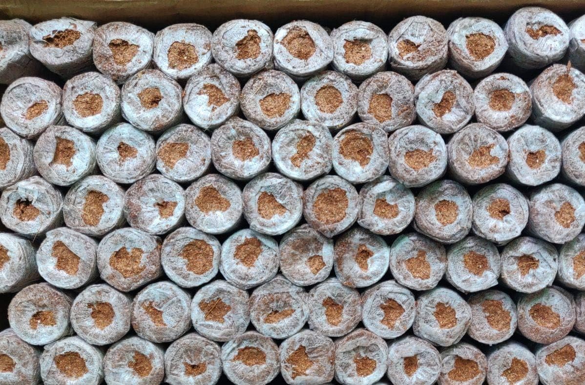 - Coco Pellets 30mm -Set of 65pc, Jiffy Made, Soilless Germination Medium, Coco disc