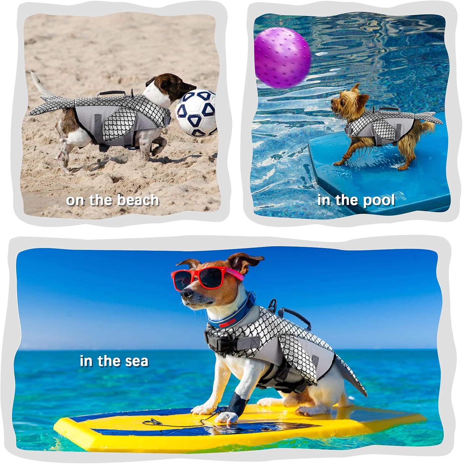 dog swimsuits