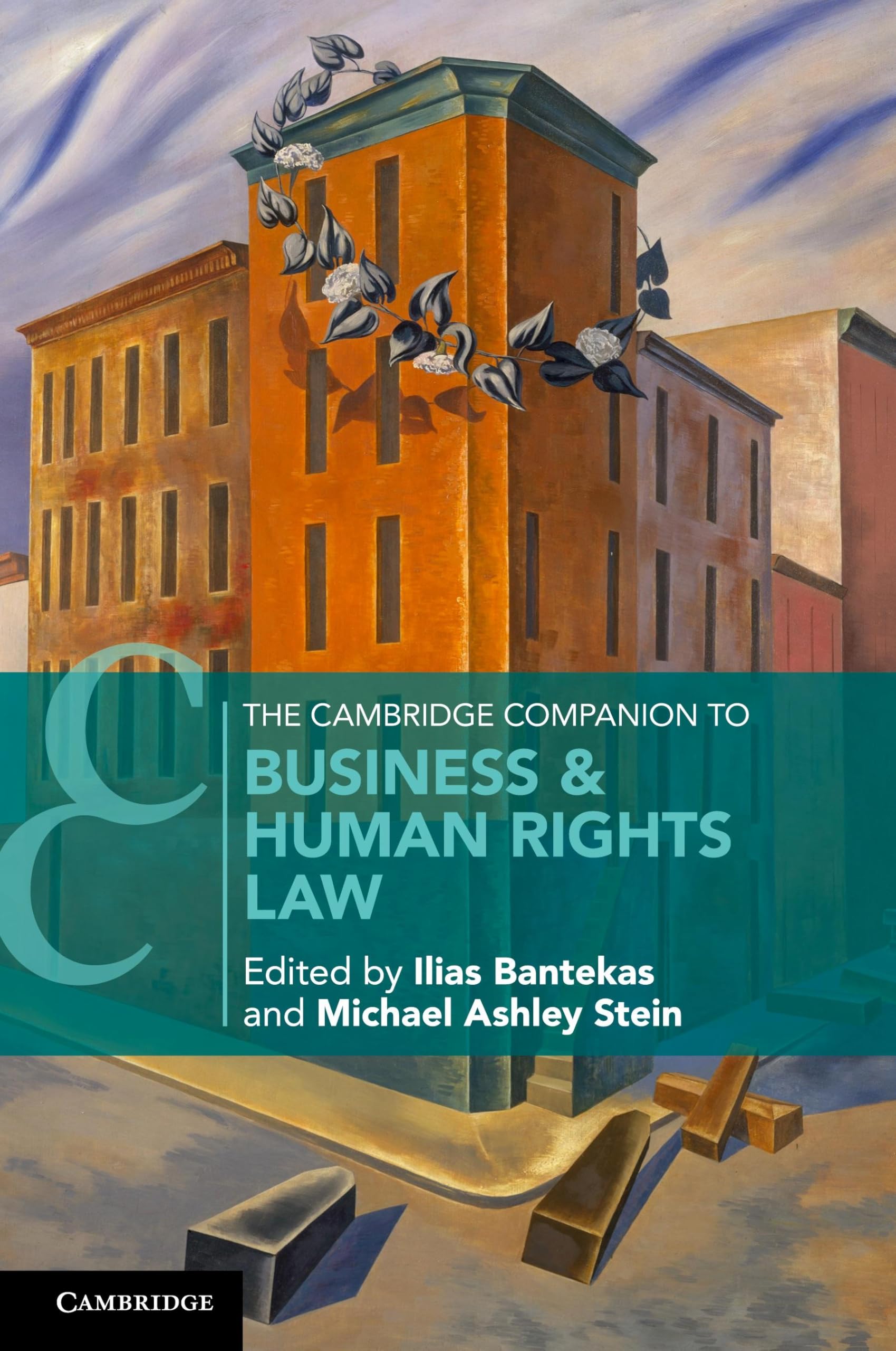 The Cambridge Companion to Business & Human Rights Law (Cambridge Companions to Law)