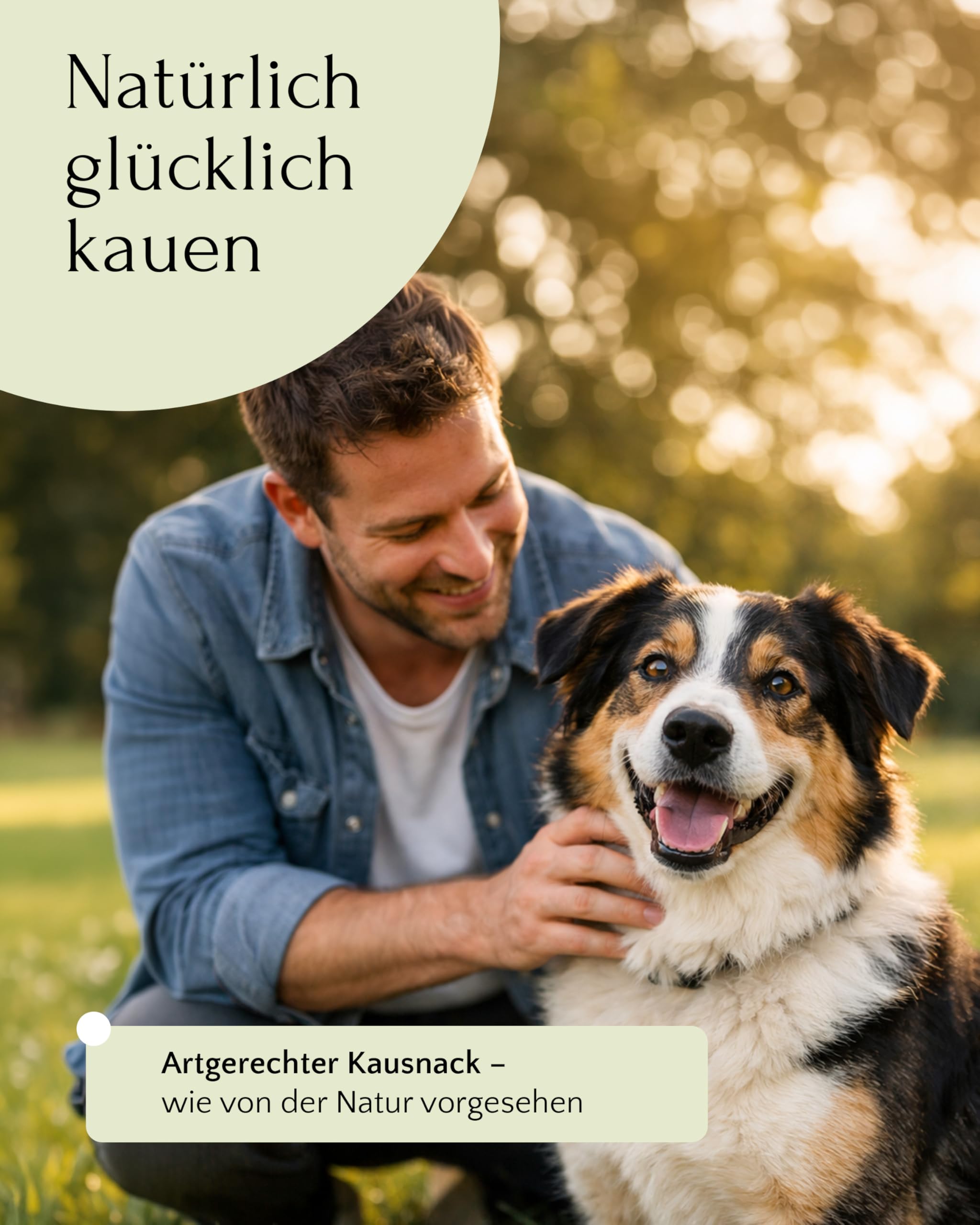 FAVLY – Premium Lammohren 2x450g für Hunde – luftgetrockneter Kauartikel zur Zahnpflege – 100% natürlicher Hundekausnack ohne Zusätze – besonders gut verträglich & hypoallergen