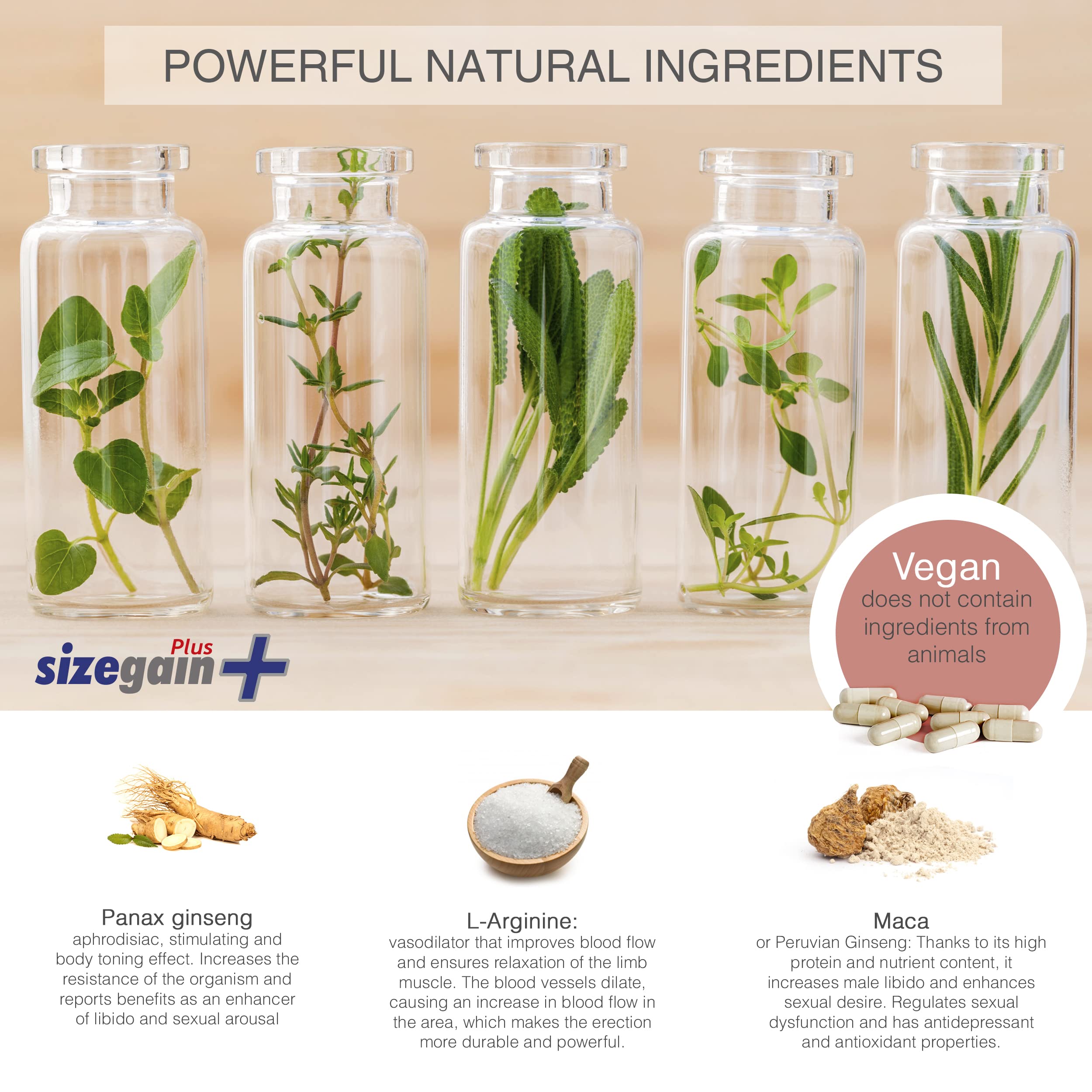 Amélioration de la virilité - 5 SizeGain Plus : Capsules pour augmenter le désir sexuel. 5 x 30 capsules.