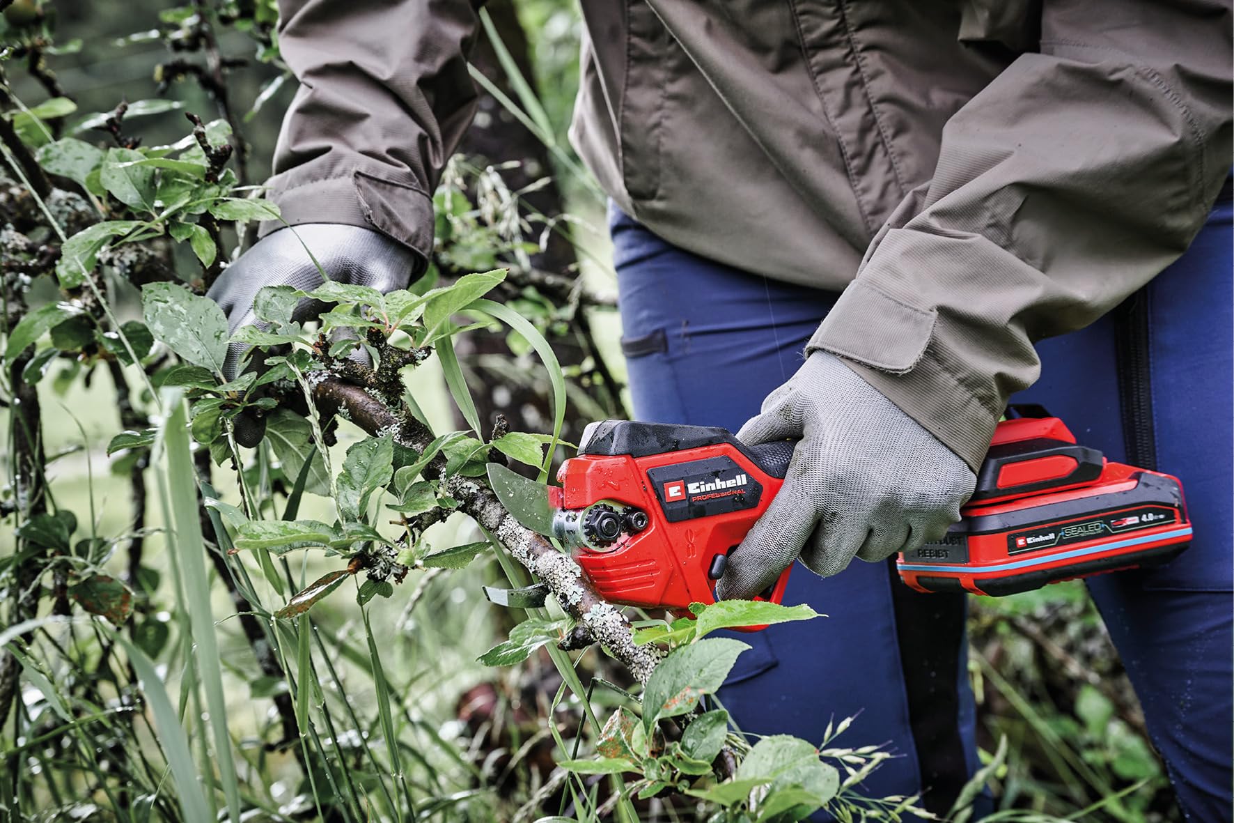 Einhell Professional Akku-Astschere GP-LS 18/28 Li T BL Power X-Change (18 V, Teleskopstiel für Arbeiten in 3,8 m Höhe, bis 28 mm Aststärke, Bypass-Klingen, inkl. 4,0 Ah Akku)