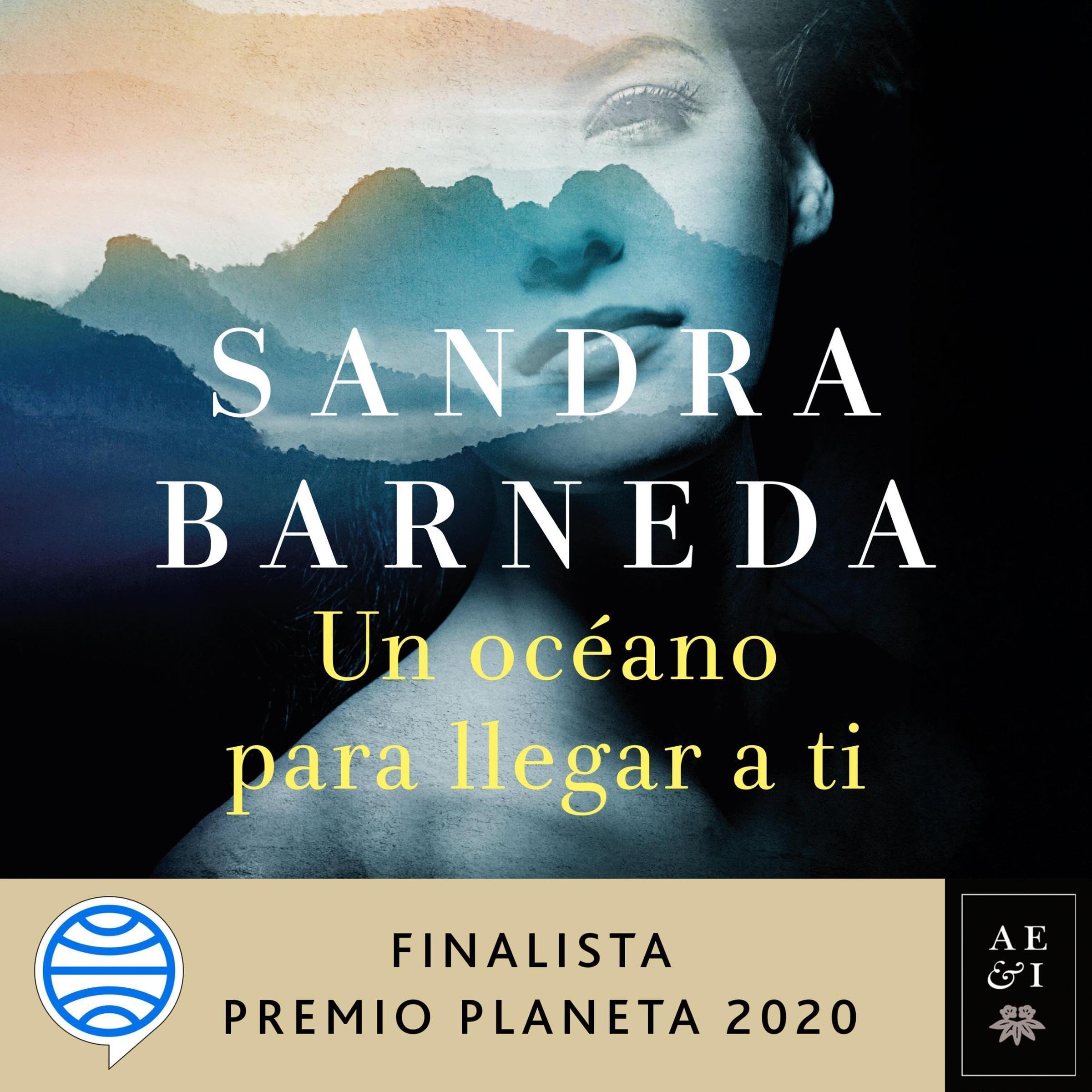 Cover art for Un océano para llegar a ti
