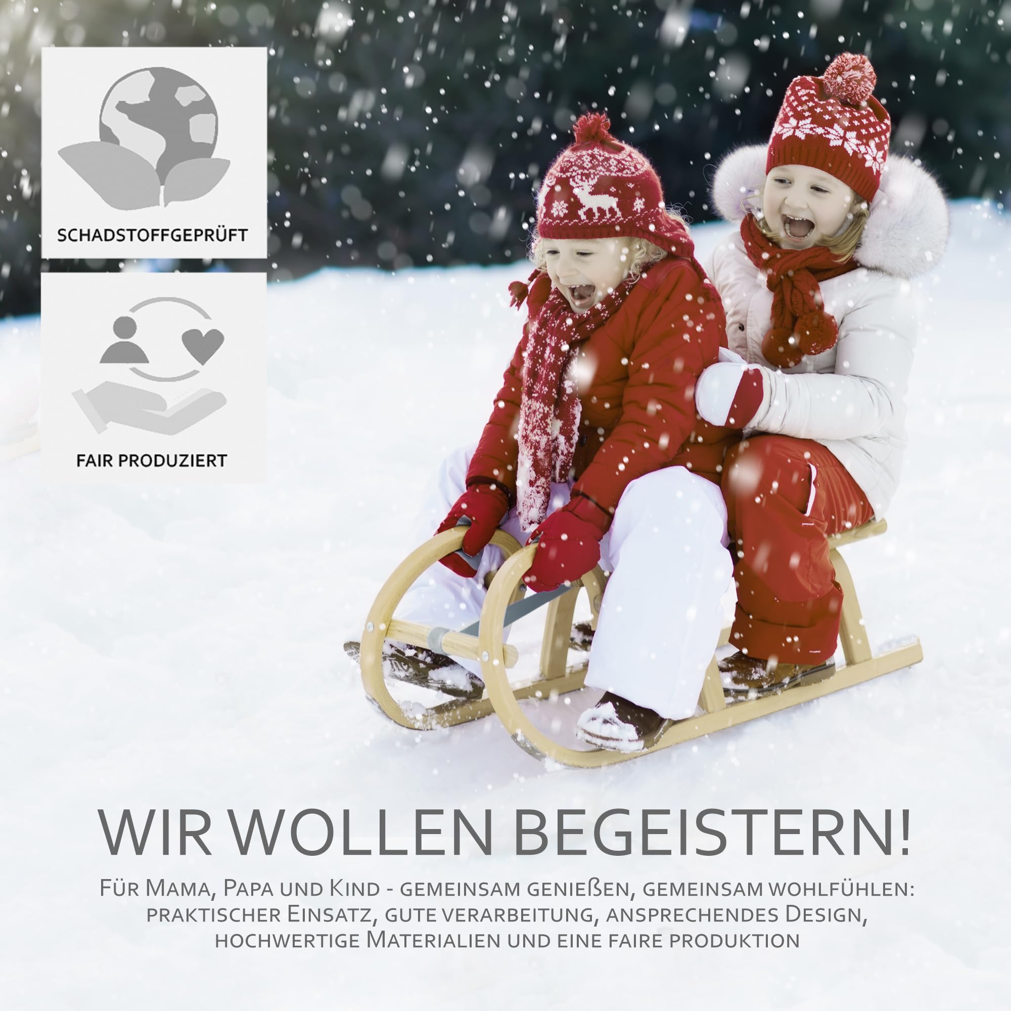 Hoornslee, houten slee, met trekkoord, lichtlopende stalen glijders