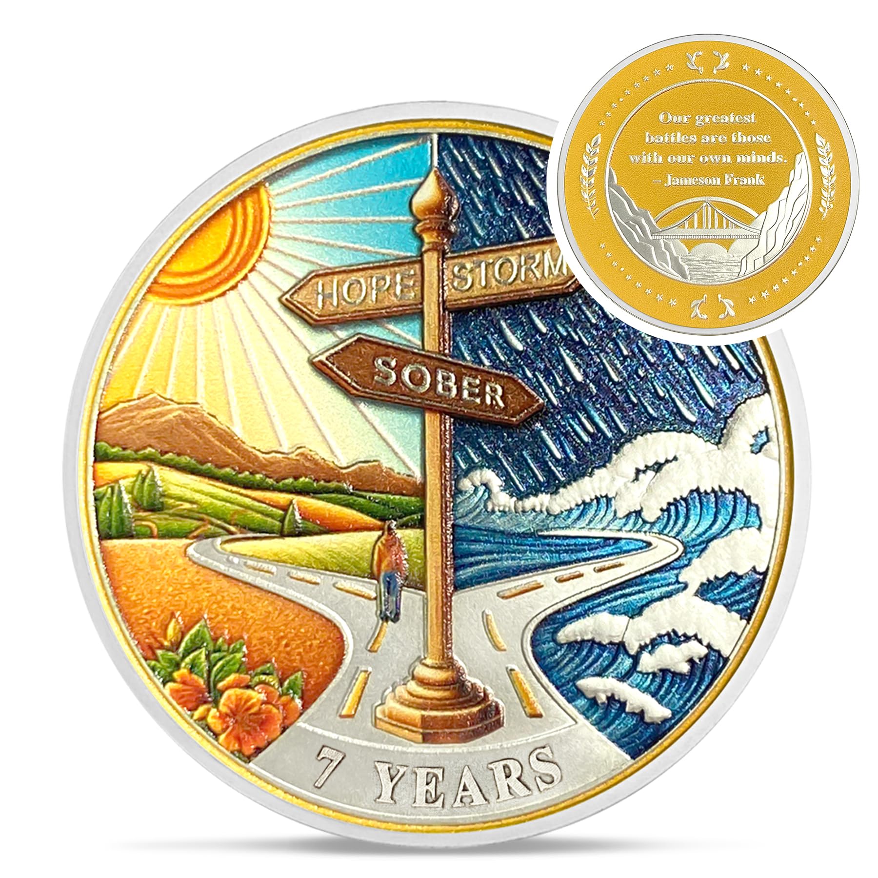 Hope Signpost 7 Year Sobriety Coin - Reborn from Storm AA Coins - Seven Year AA Chips and Medallions - 1-10 Years NA AA Celebrate Recovery Addicts -