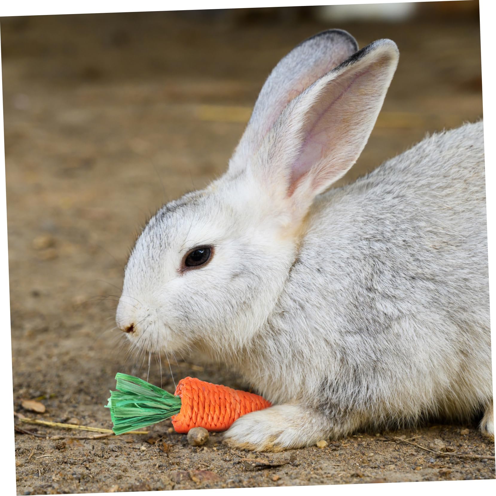 Sosoport 30pezzi Giocattoli Masticabili Per Piccoli Animali Da Carote Intrecciate Per Conigli e Criceti Giocattoli Comfortanti Per Roditori Perfetti Per Masticare e Igiene