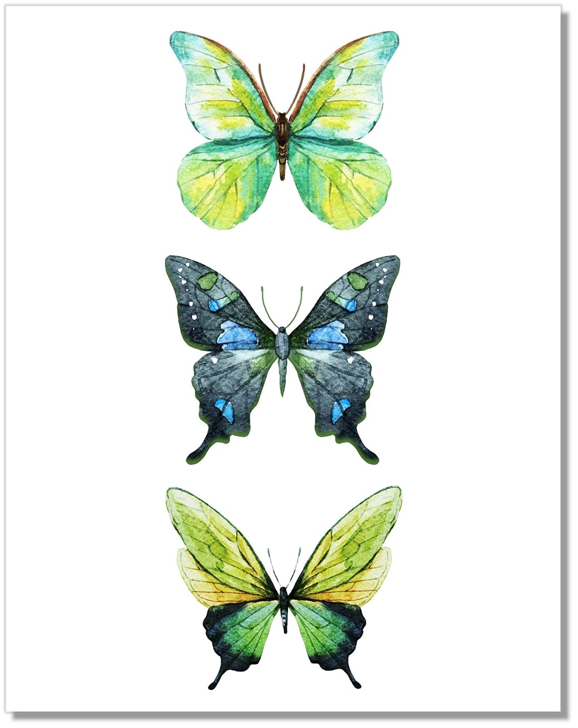 Butterfly Wall Art - Green Butterflies Decor - Watercolor Art Print - 11x14 – Unframed Poster