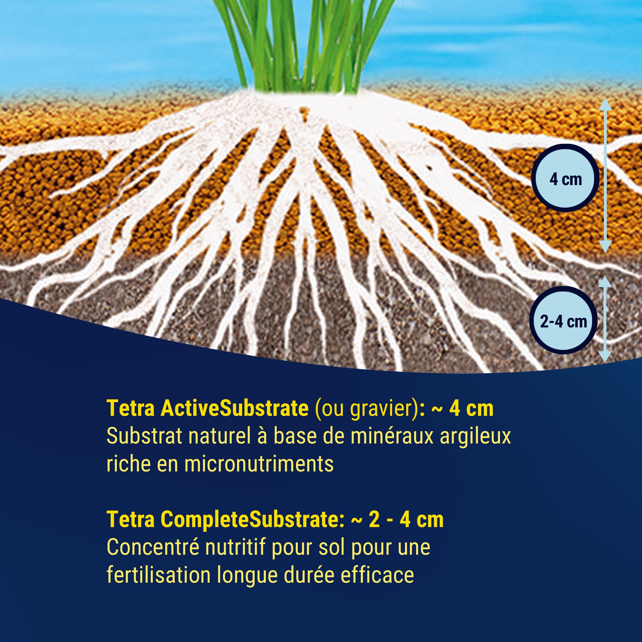 Tetra Activesubstrate 3 L