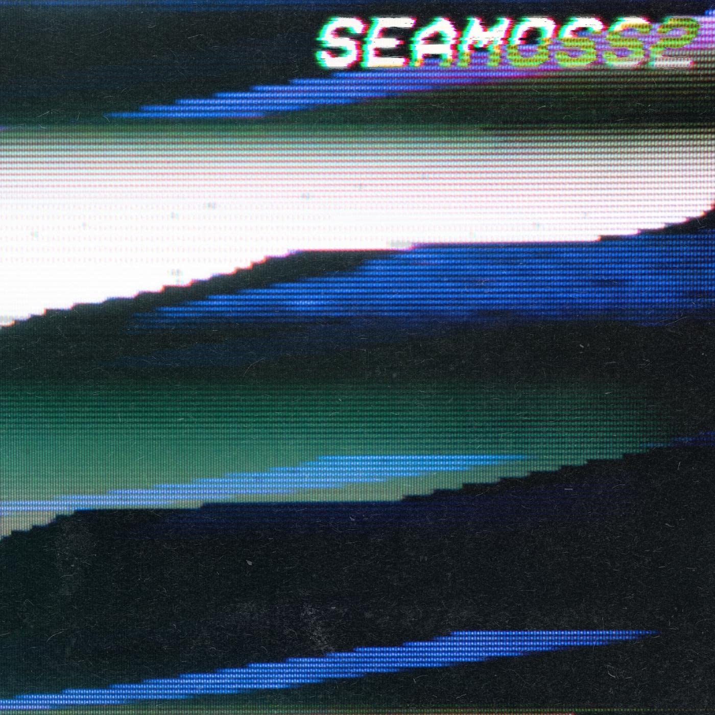 Seamoss2 by Sea Moss (Record, 2022)