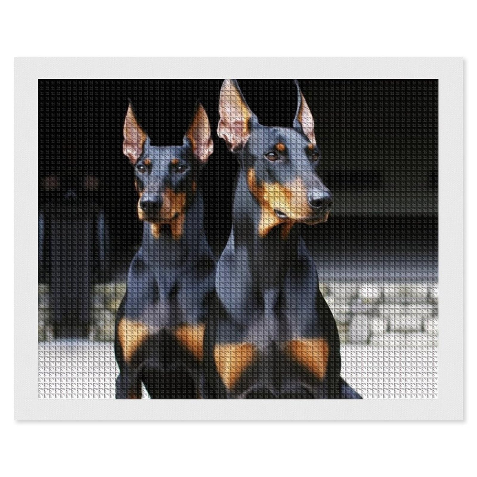 NONHAI Diamond Painting Kits for Adults - DIY Diamond Art Kits for Beginners - Full 5D Paint Drill Diamond Dots Paintings- Doberman Diamonds Pictures Gem Art and Craft Wall Decor 16"x20"