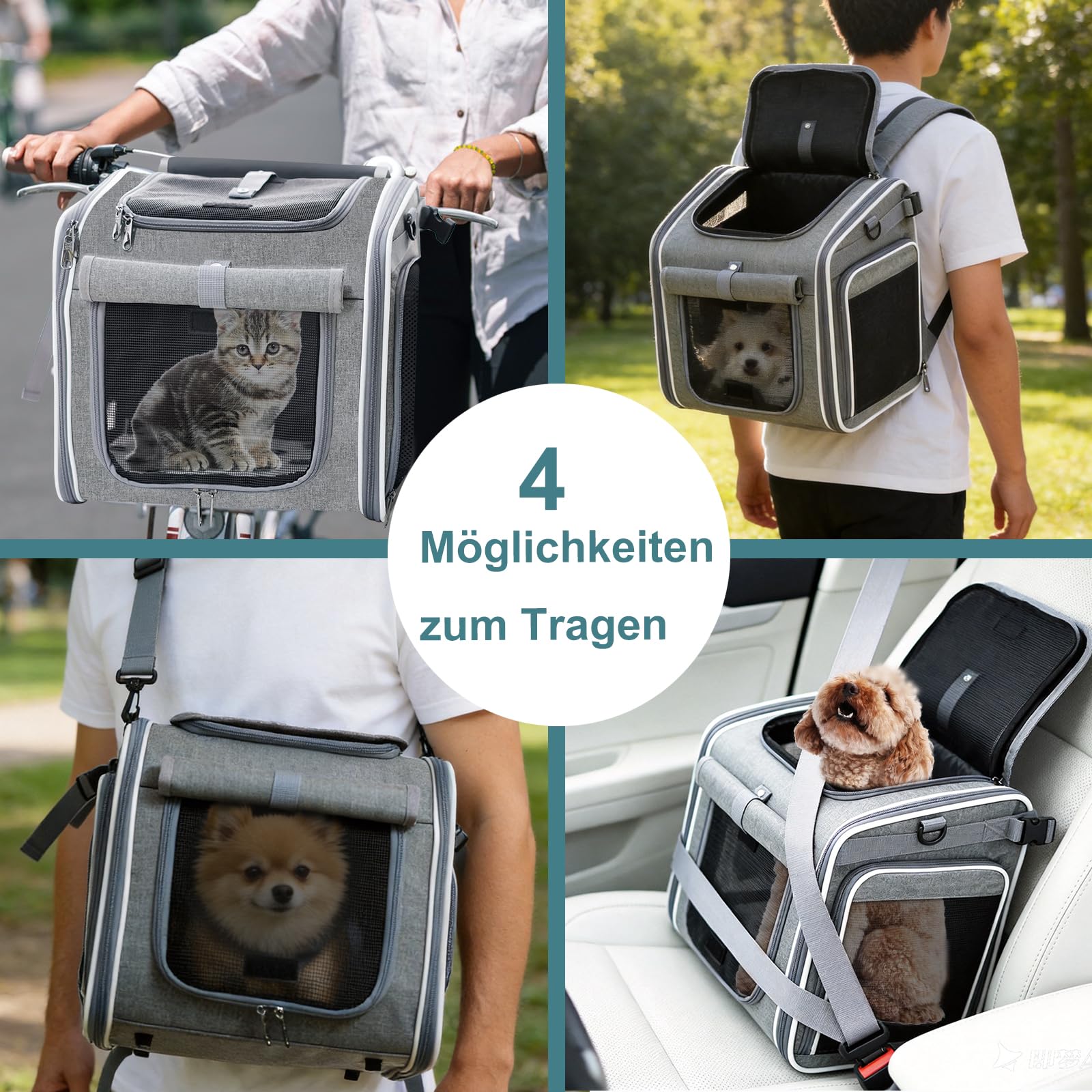 hundekorb Fahrrad vorne, Fahrradkorb Hund, hundekorb Fahrrad mit 4 Mesh-Fenster, Hunde Fahrrad Korb 4-Offenen Türen, fahrradkorb für Hunde für Kleine Katzen und Hunde