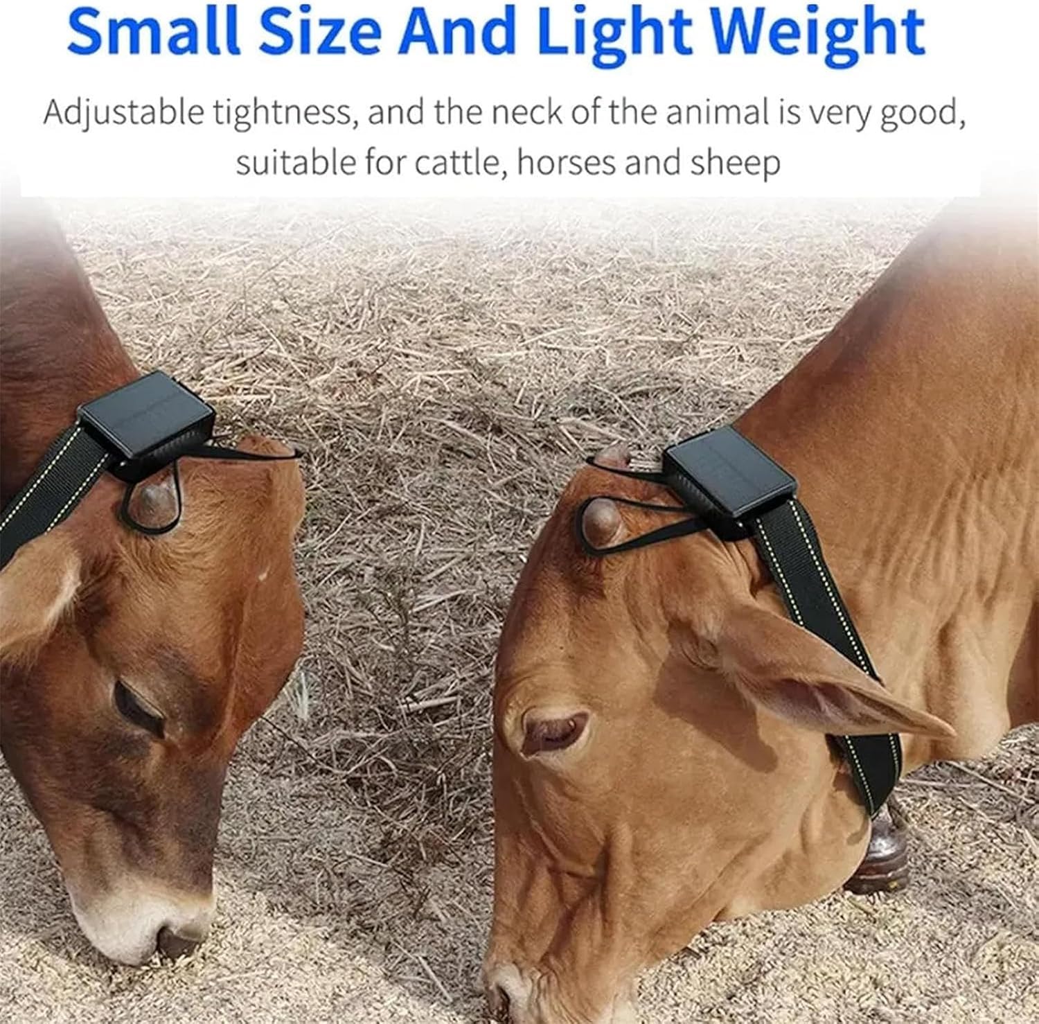 Rastreador solar de animales, rastreador GPS for vacas, seguimiento histórico, posicionamiento en tiempo real, resistente al agua, apto for ganado vacuno, ovino, equino, camello y fauna silvestre.