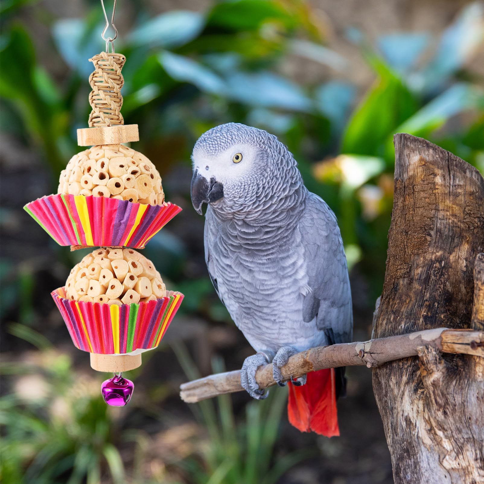 Happyyami Jouet à Mâcher pour Oiseaux Accessoire Suspendu pour Perroquets Jouet De Bricolage Vigne Naturelle avec Deux Boules pour Divertissement Oiseaux
