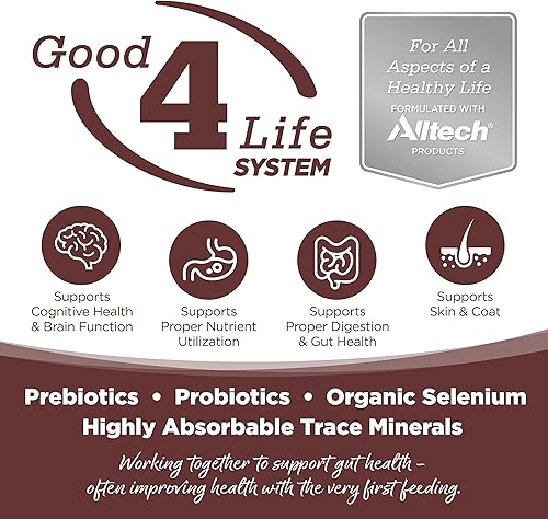 Miniatura 2 de NutriSource Prairie Select - Alimento seco para perros sin granos, codorniz y pato, 26 libras