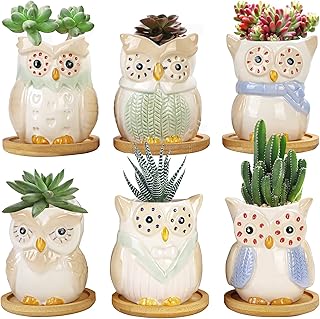 YINUOWEI Succulent Pots with Drainage 3 Inch Mini Owl Pots for Plants Tiny Animal Planter Small Ceramic Air Plant Flower Pots Cactus Faux Planters Containers with Bamboo Tray Set of 6