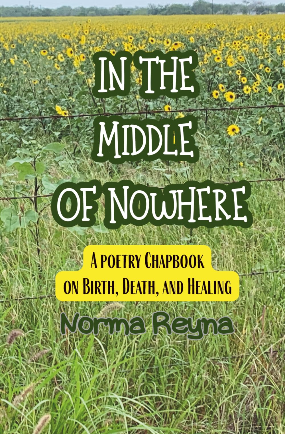 In the Middle of Nowhere: A poetry chapbook on Birth, Death, and Healing