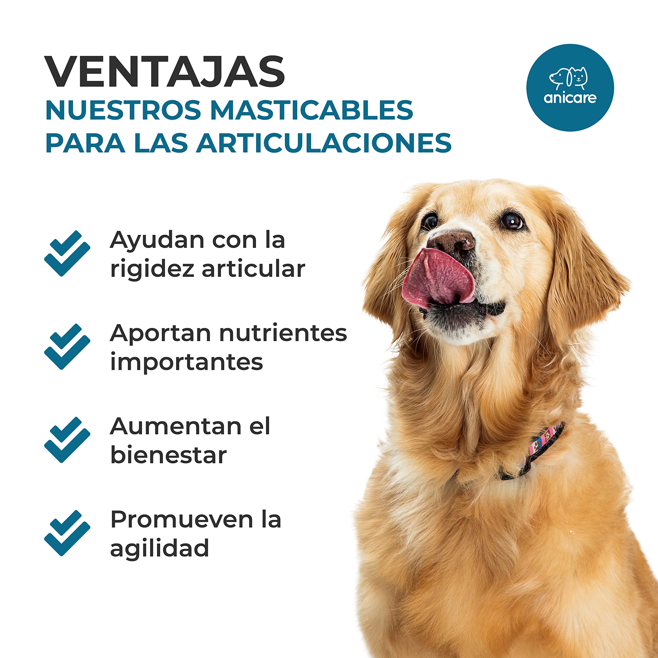 Anicare Premium Joint Care: Masticables para Las articulaciones - con glucosamina, condroitina, MSM y mejillón de Nueva Zelanda