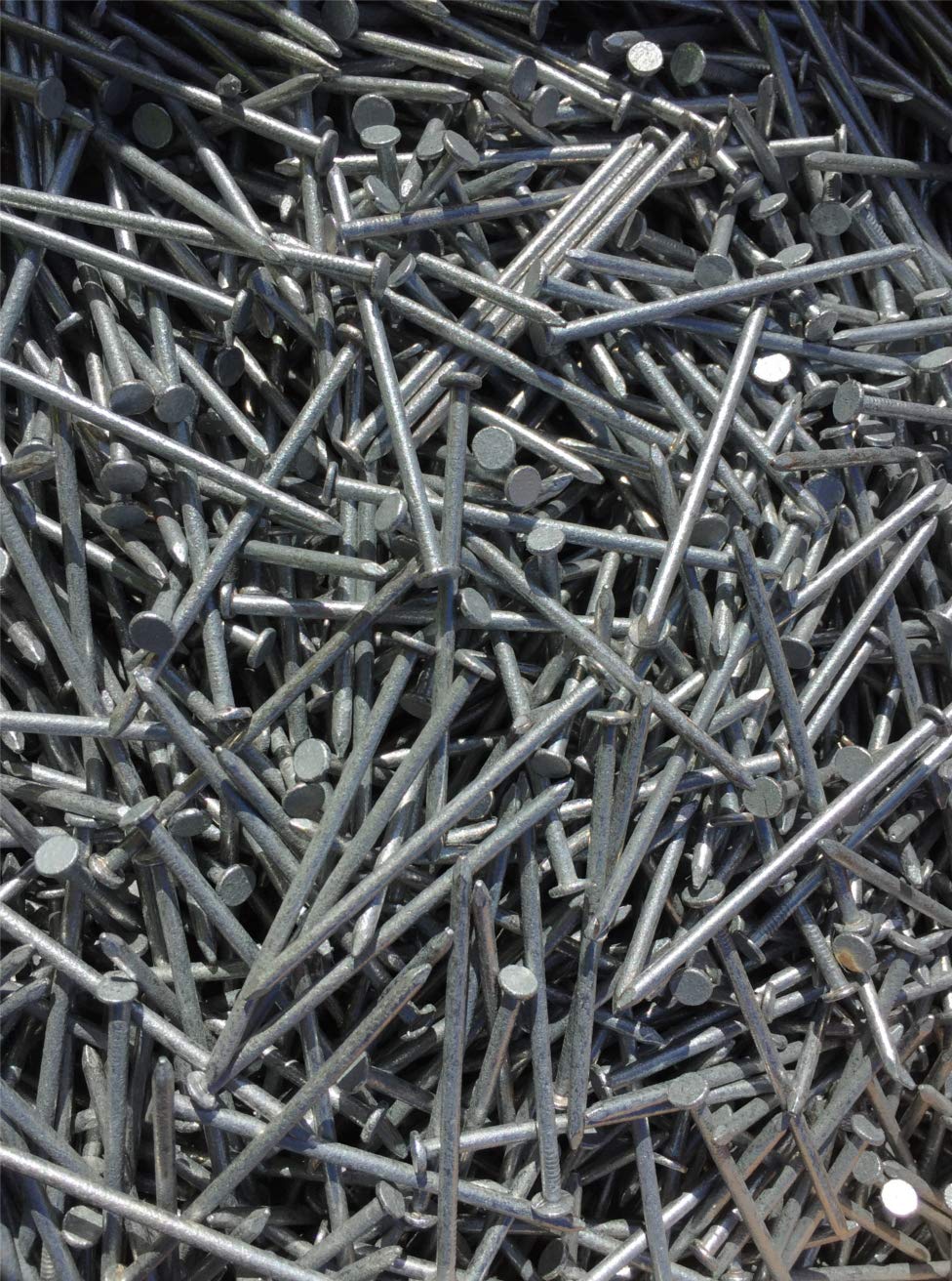 Galvanised Round Wire Nails 1KG 65x2.65mm