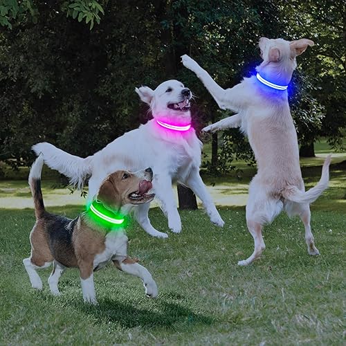 Miniatura 8 de Collares de perro con luces LED recargables, collares de perro que brillan en la oscuridad, para seguridad nocturna, collar de cachorro iluminado,