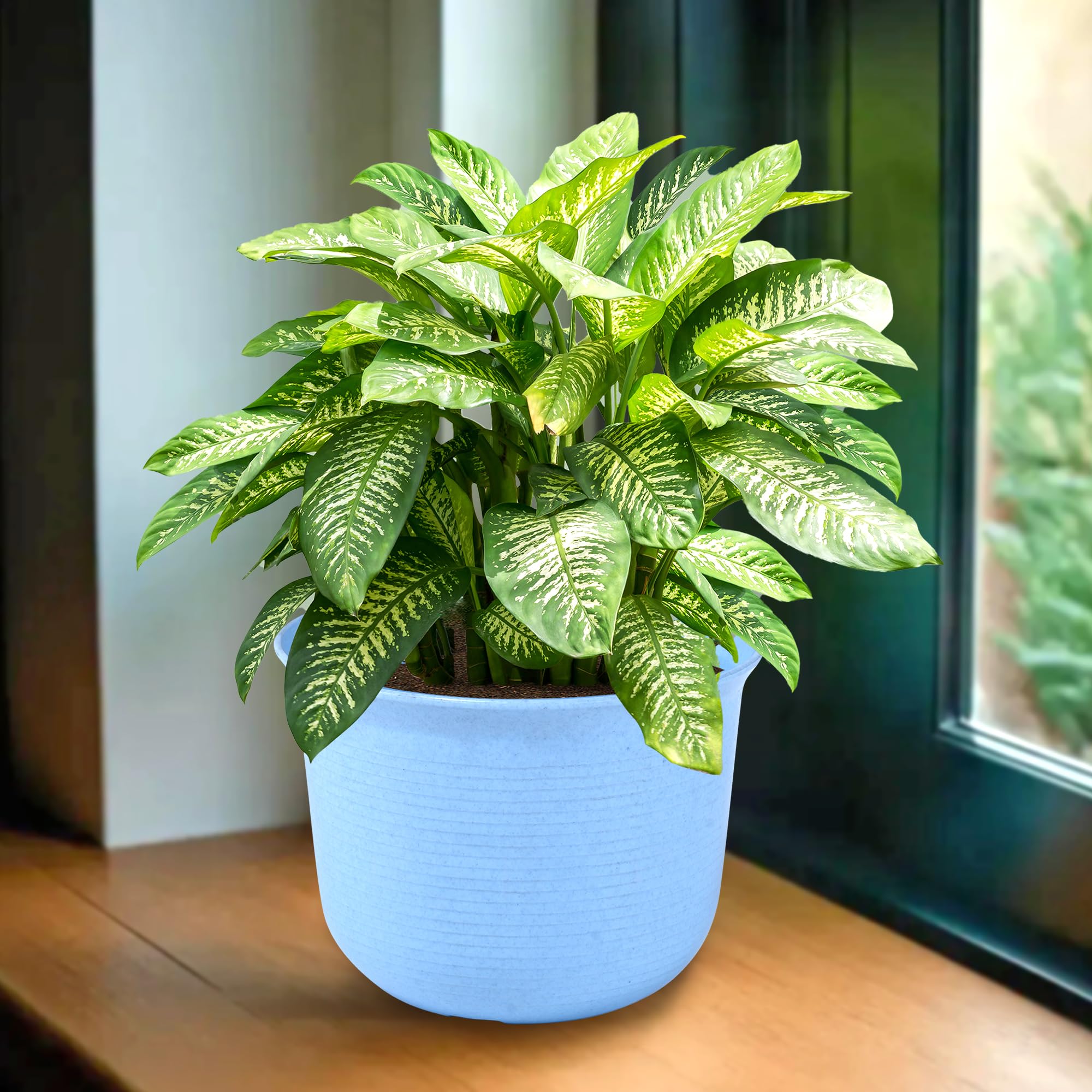 Kuber Industries 10 Inch, Marble Sawera Design Flower Plant Pot with Plate for Home, Kitchen & Garden | Stylish Pots for Plants Balcony | Ideal for Home Decor & Office Spaces | Blue