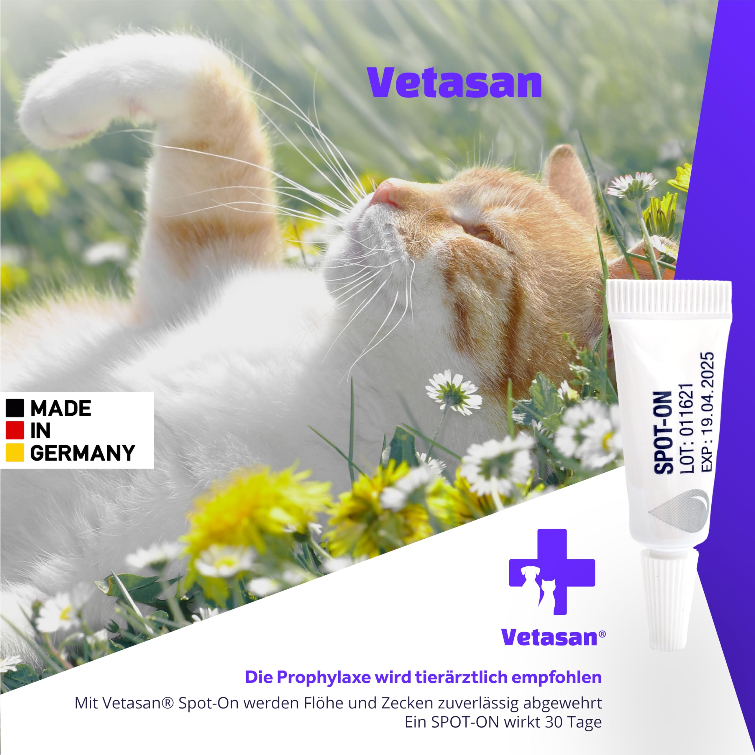 SpotOn pour chat 4-7 kg (M))