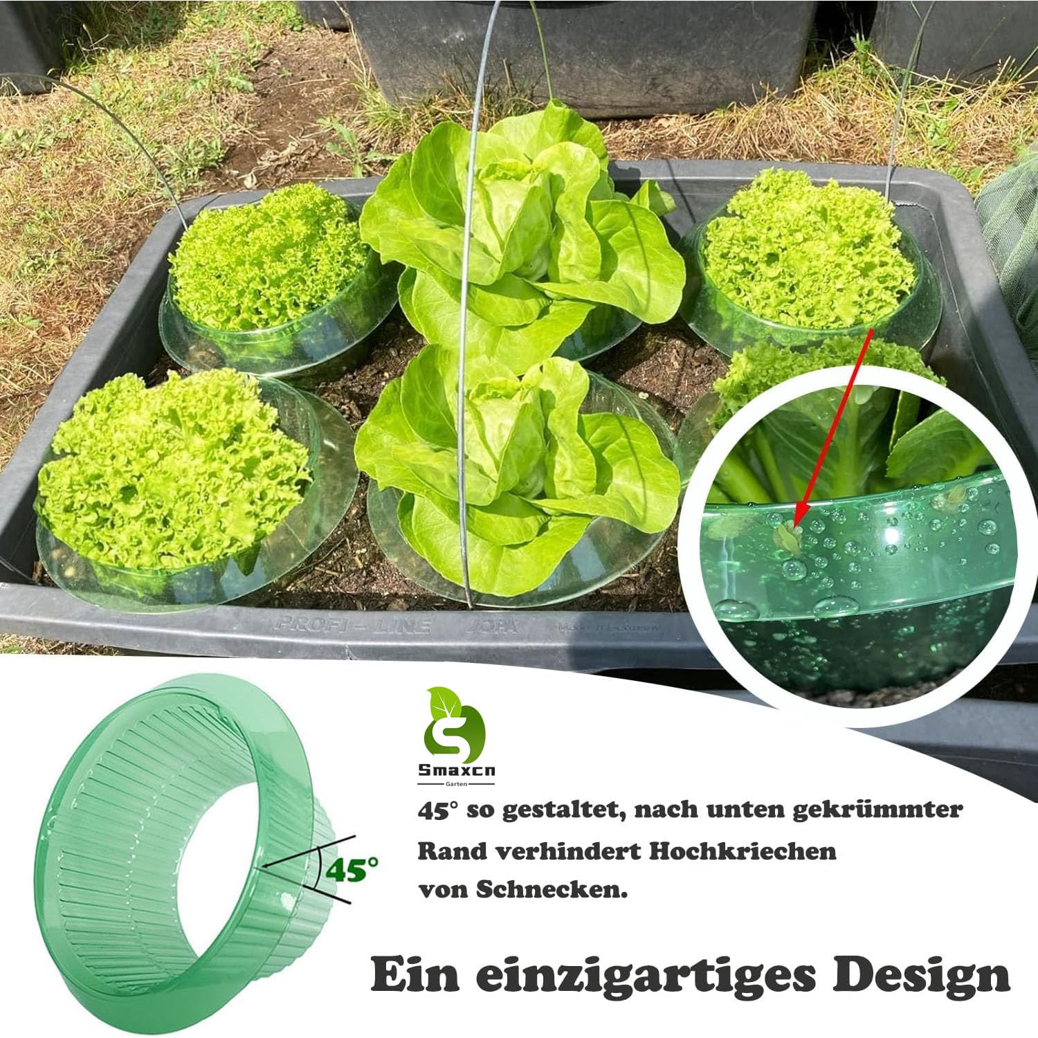 Verdickte Ausführung Schneckenkragen, Schneckenschutz zur Abwehr von Schnecken, für Ihre Salatpflanzen und Kohl - Schützt Pflanzen vor Tierfraß, grün, Set à 24 Stück