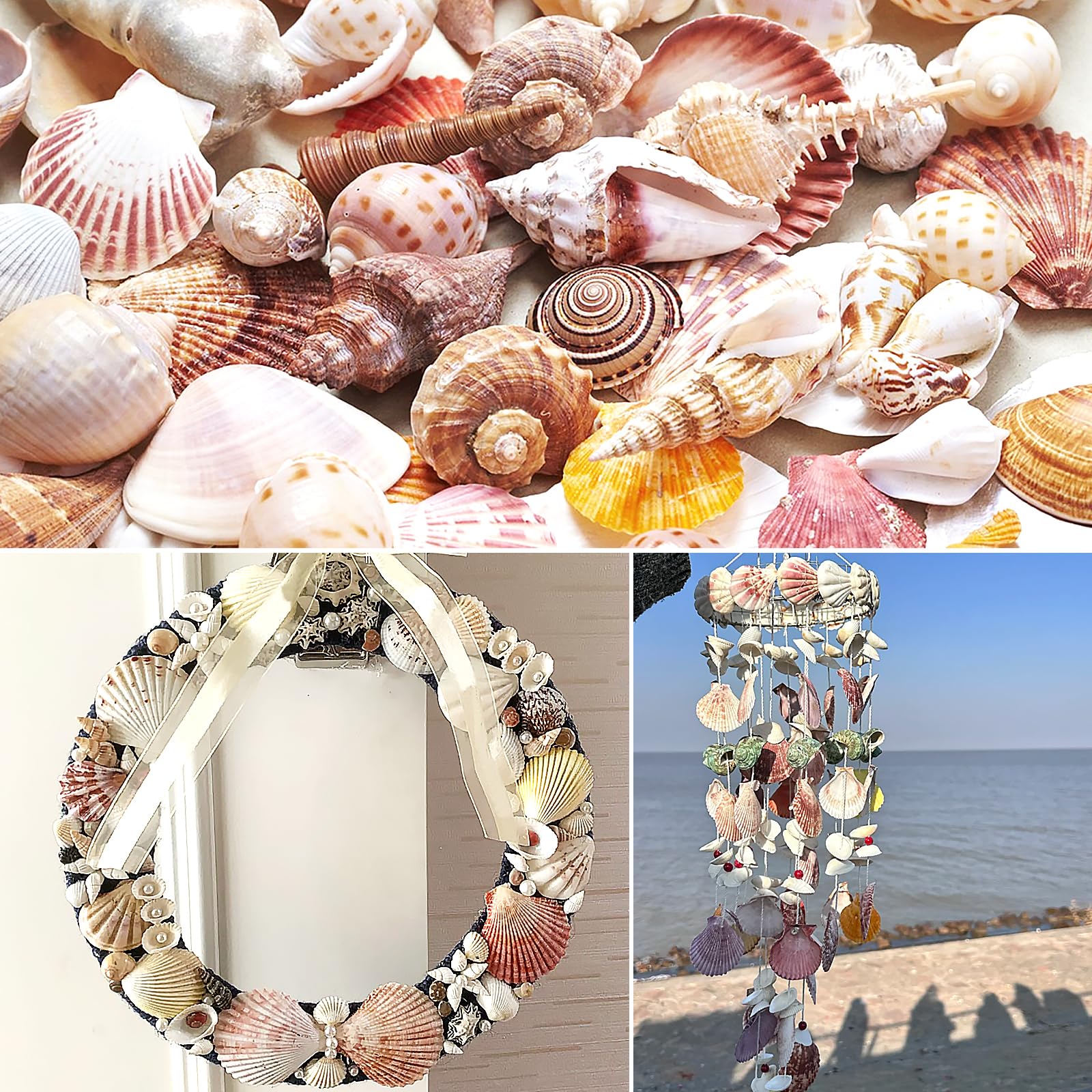 48 Pièces Coquillages de pétoncles Coquillages naturels, 3cm - 5cm Blanc et Rose Coquillages pour Mariage décoration Plage thème fête, réservoir de Poissons et Vase Remplissage