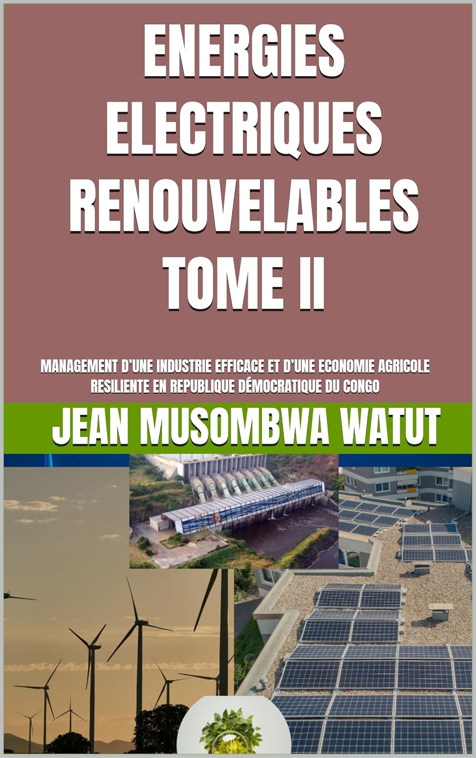 ÉNERGIES ELECTRIQUES RENOUVELLABLES TOME II: MANAGEMENT D’UNE INDUSTRIE EFFICACE ET D’UNE ECONOMIE AGRICOLE RESILIENTE EN REPUBLIQUE DÉMOCRATIQUE DU ... University Network t. 10) (French Edition)