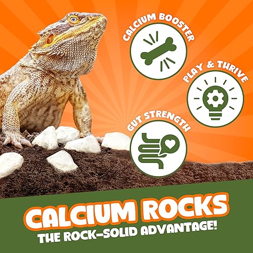 Miniatura 2 de CoCoo - Rocas minerales para leopardo y geckos con cresta, enriquecimiento de reptiles, decoración de terrario, con lima, calcio y oligoelementos, 2