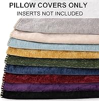 Vista 9 de decorUhome Juego de 2 fundas de almohada de felpilla suave de otoño de 18 x 18 pulgadas, fundas de almohada decorativas de terciopelo neutro