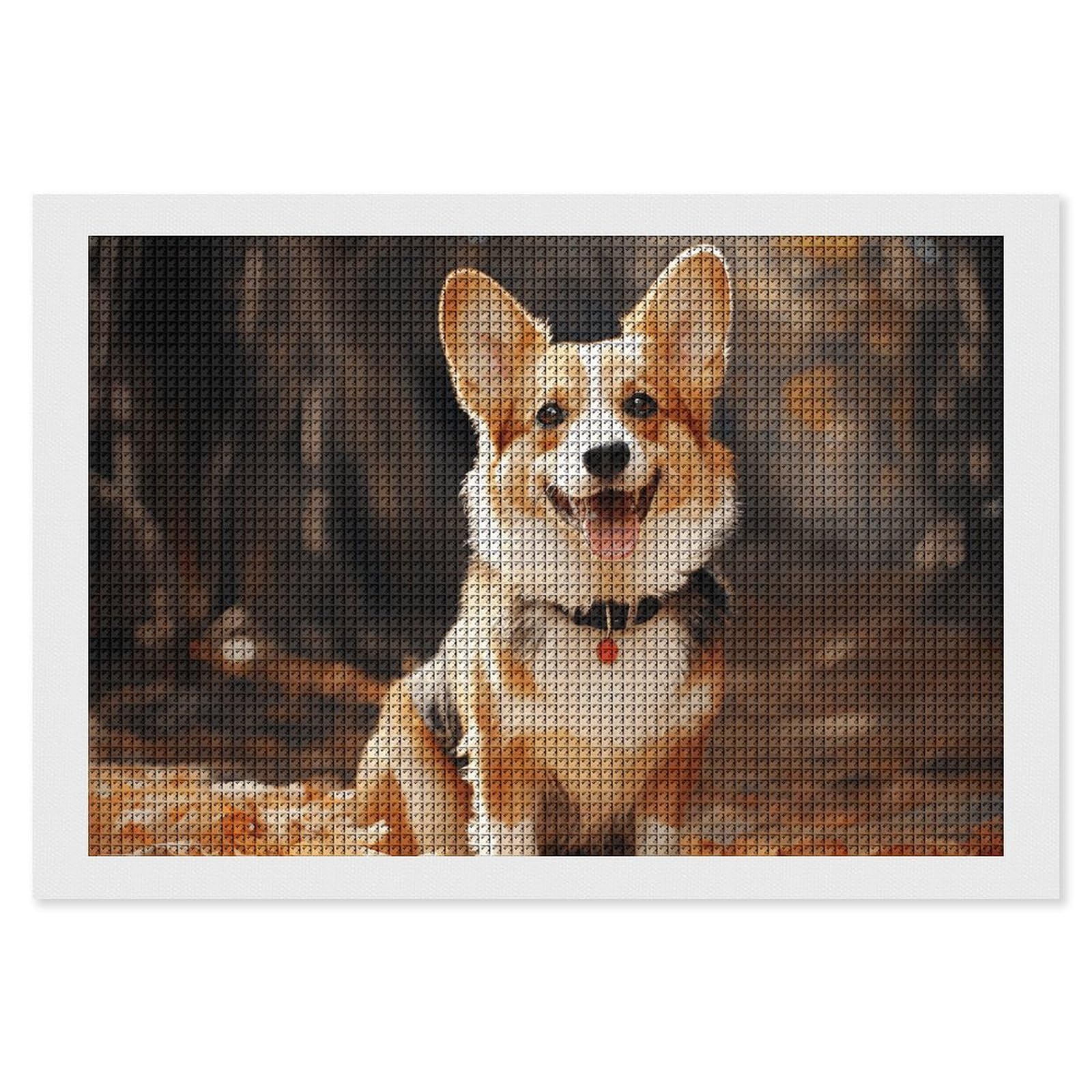 NONHAI Diamond Painting Kits for Adults - DIY Diamond Art Kits for Beginners - Full 5D Paint Drill Diamond Dots Paintings- Corgi Dog Diamonds Pictures Gem Art and Craft Wall Decor 8"x12"