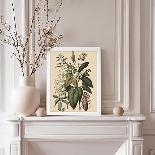 Miniatura 89 de Poster Master Póster vintage de orquídea, estampado de flores retro, arte de pared de plantas exóticas, arte botánico, regalo para hombres y