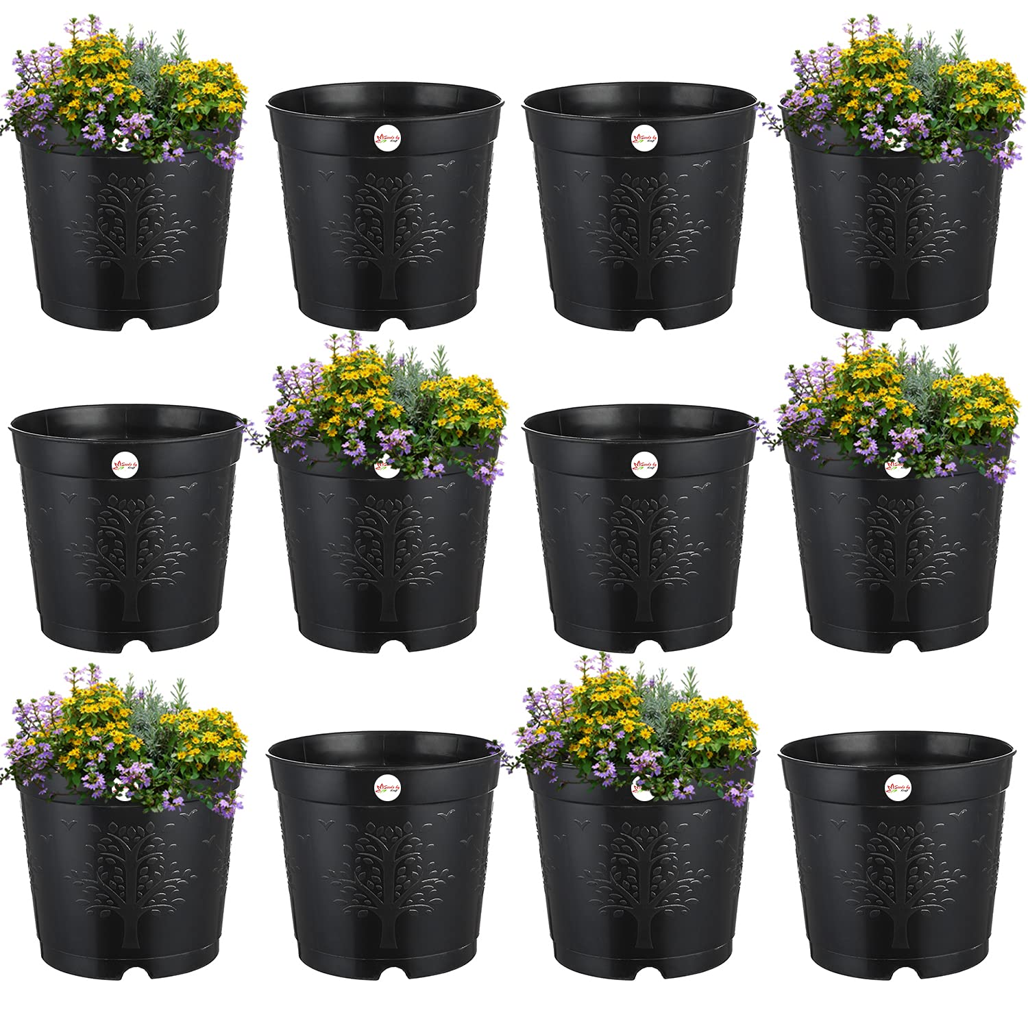 Kraft Seeds by 10CLUB Indoor Plastic Plant Pots Soft Plant Nursery Pots Flower Pot (6-inch, Black, Pack of 12) (B09CBWZR5C) Amazon Price History, Amazon Price Tracker