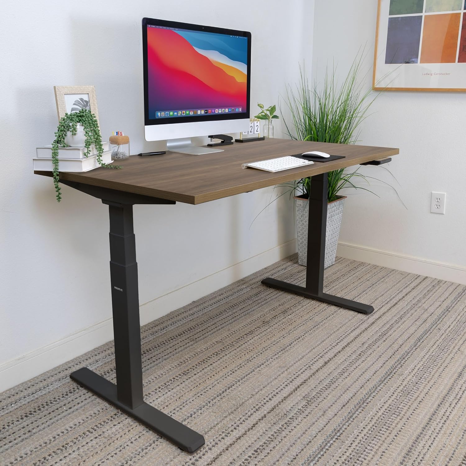 Mount-It! Wood Table Top for Standing Desk, 55" x 29" Solid One-Piece Heavy Duty Desktop Surface, 1" Thick Wooden Tabletop, Compatible with Adjustable Desk Frames - Frame and Legs Sold Separately